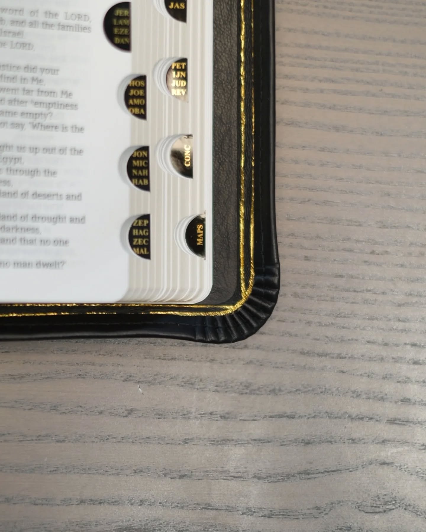 Black Seidel Double Shot NASB thumbnail 5