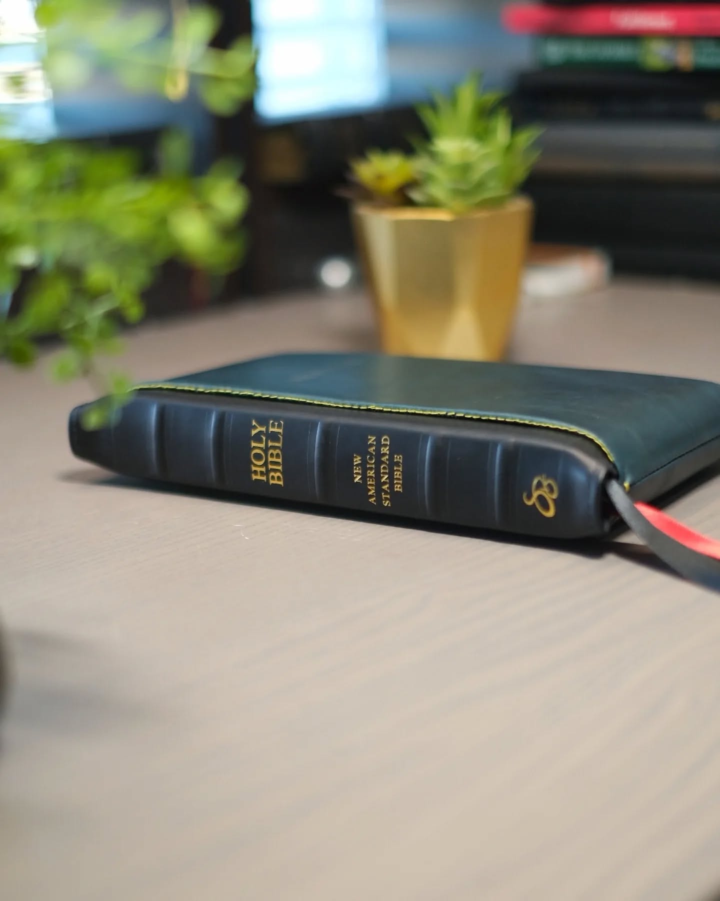 Black Seidel Double Shot NASB thumbnail 7