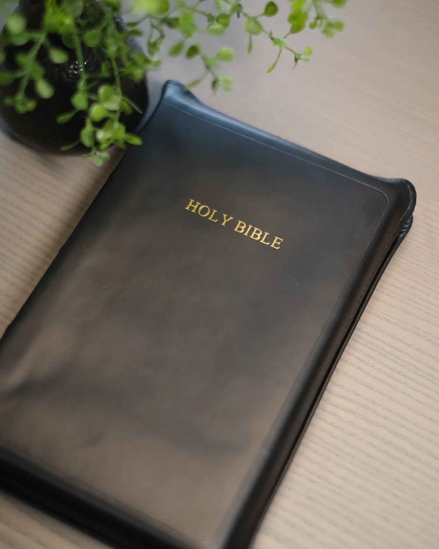 Black Seidel Double Shot NASB thumbnail 8