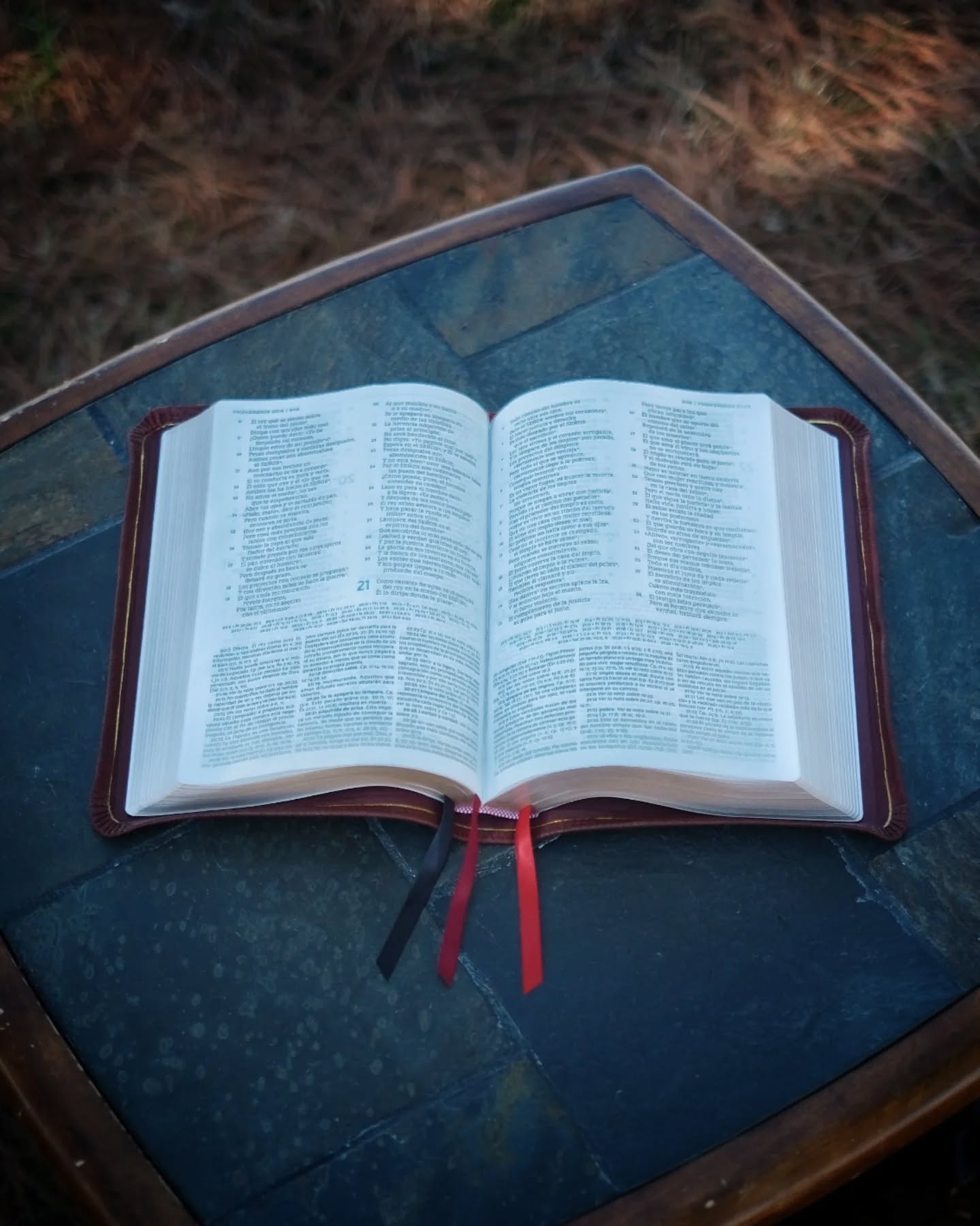 Red Wine Nappa Lambskin NBLA thumbnail 10