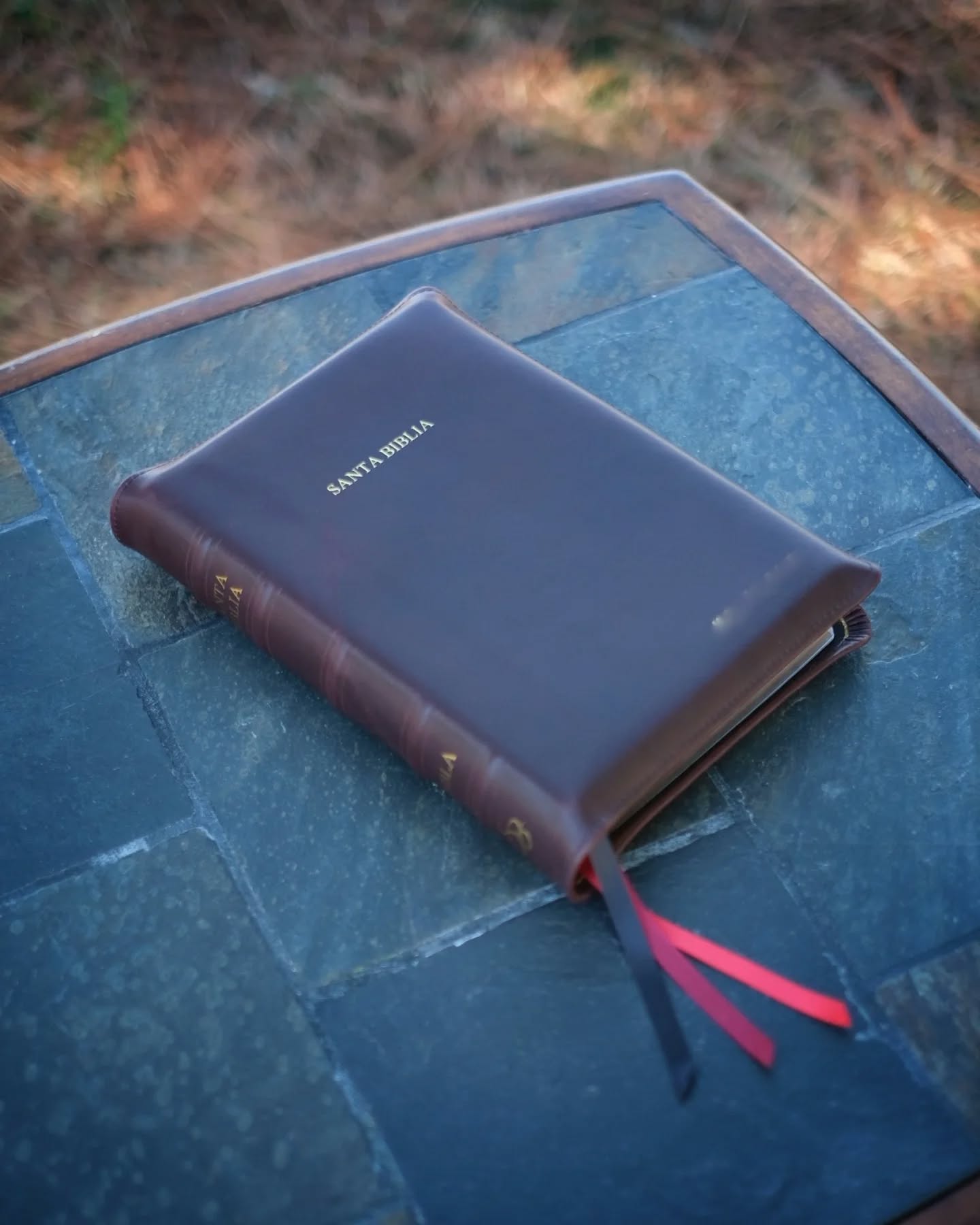 Red Wine Nappa Lambskin NBLA thumbnail 13