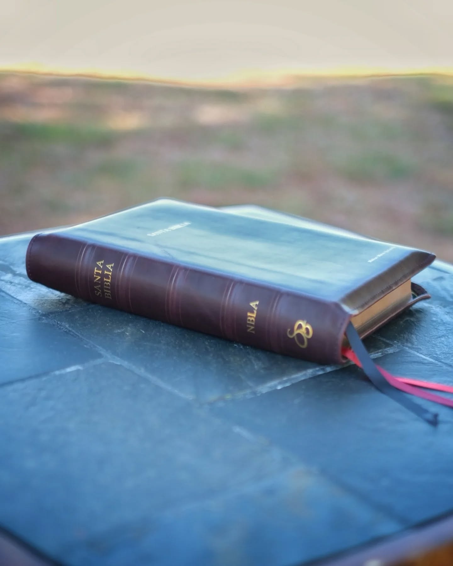 Red Wine Nappa Lambskin NBLA thumbnail 14