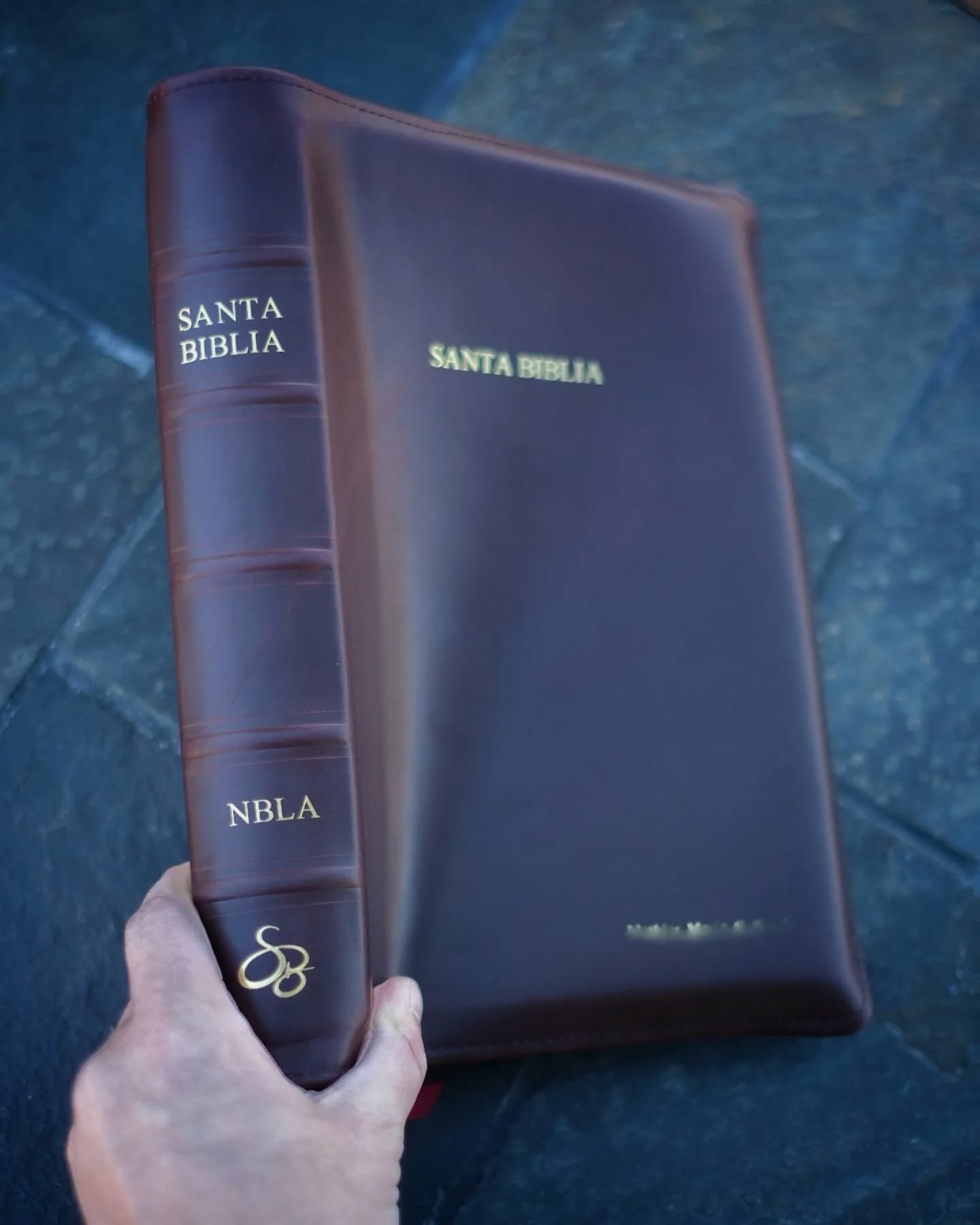 Red Wine Nappa Lambskin NBLA thumbnail 15