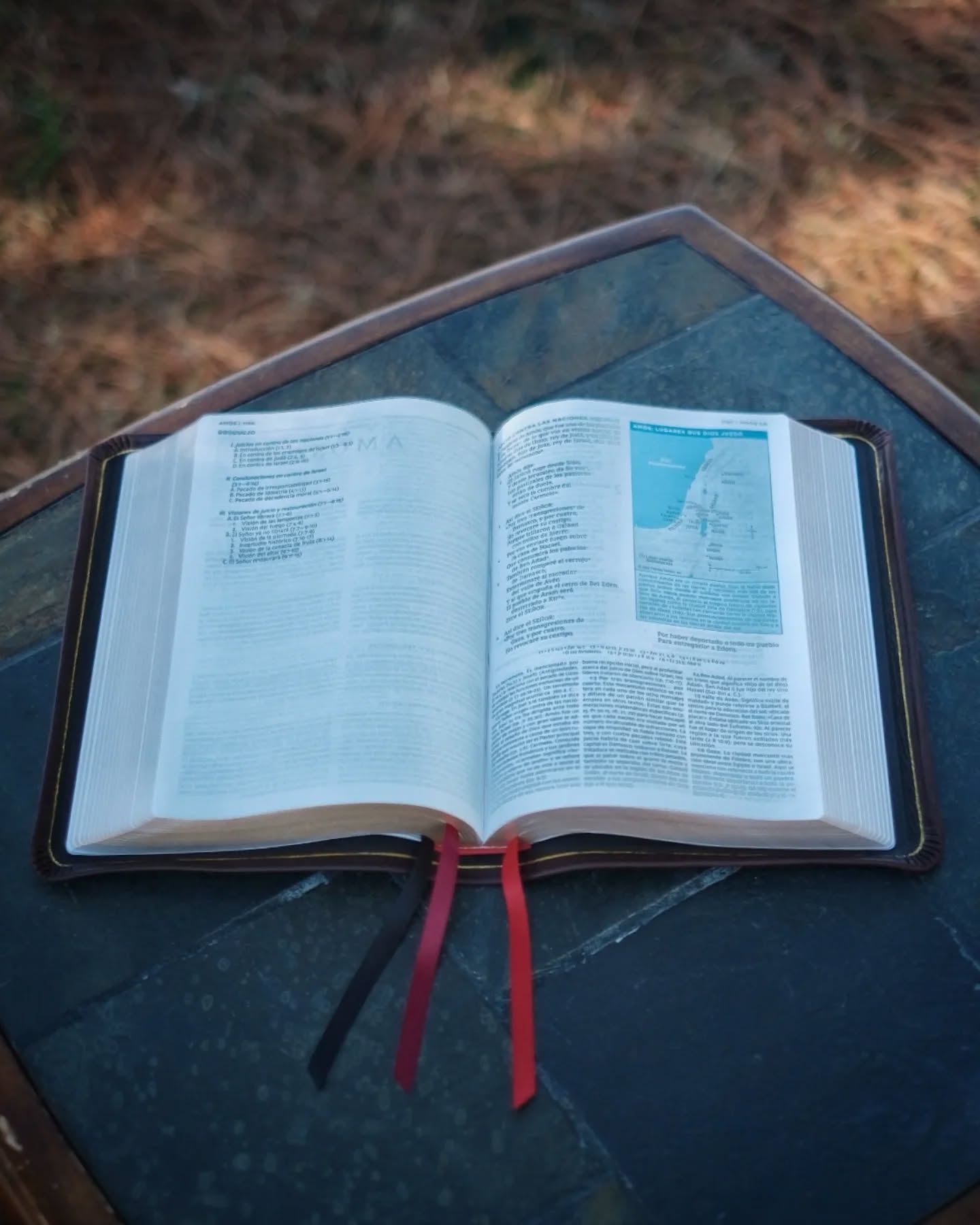 Red Wine Nappa Lambskin NBLA thumbnail 17