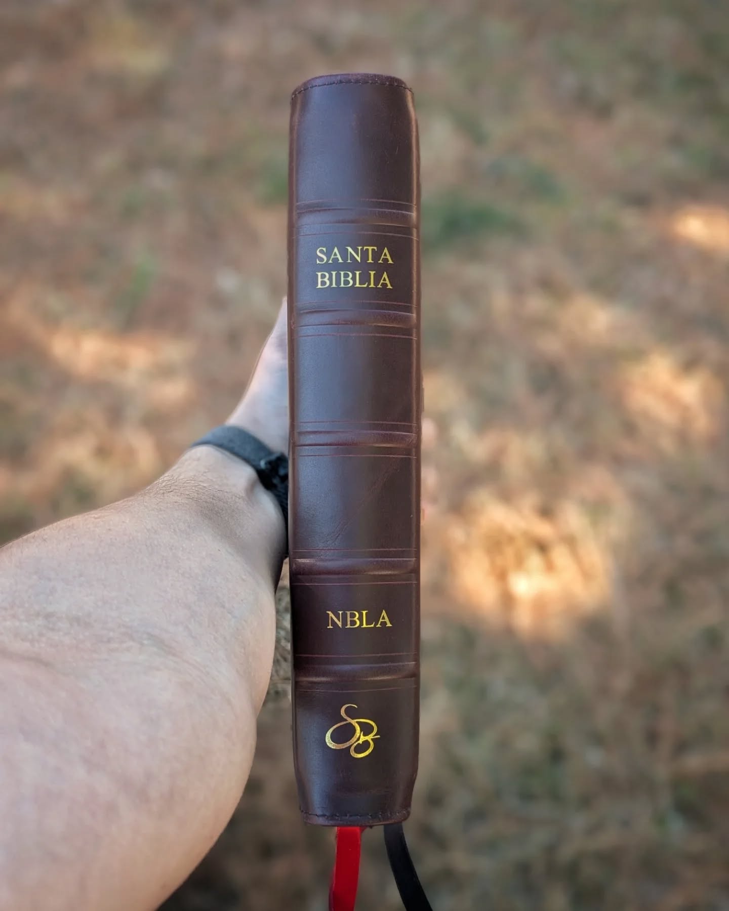 Red Wine Nappa Lambskin NBLA thumbnail 18