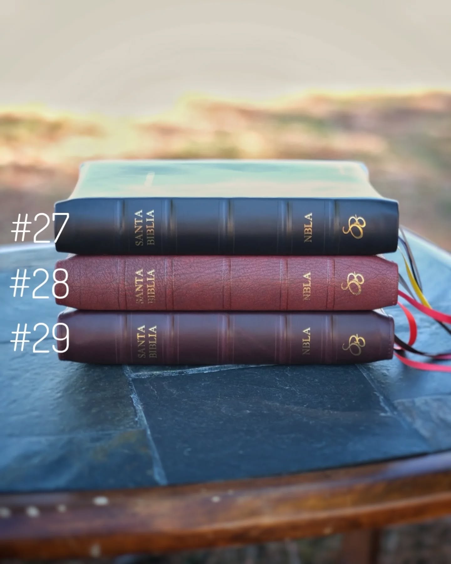 Red Wine Nappa Lambskin NBLA thumbnail 2