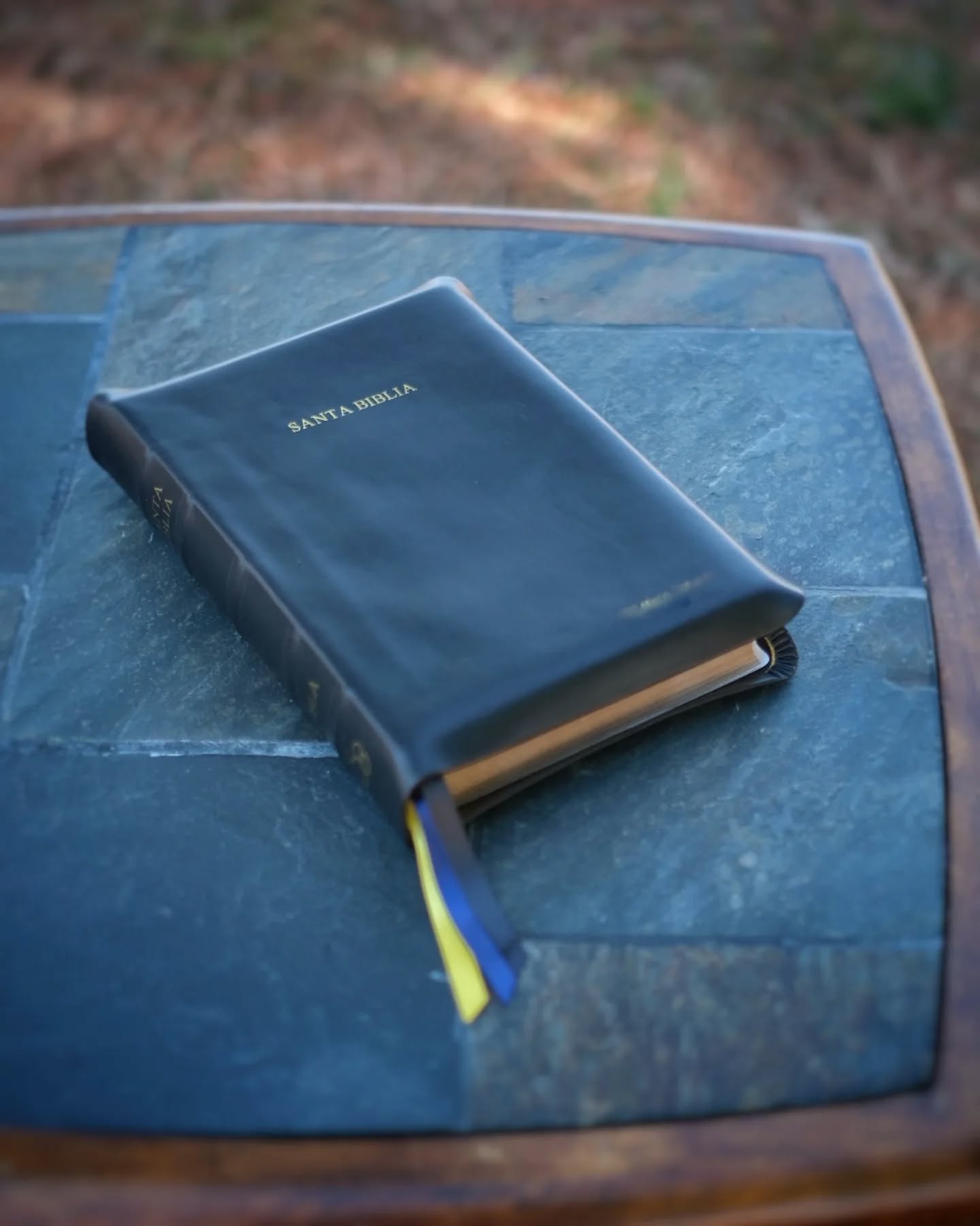 Red Wine Nappa Lambskin NBLA thumbnail 3