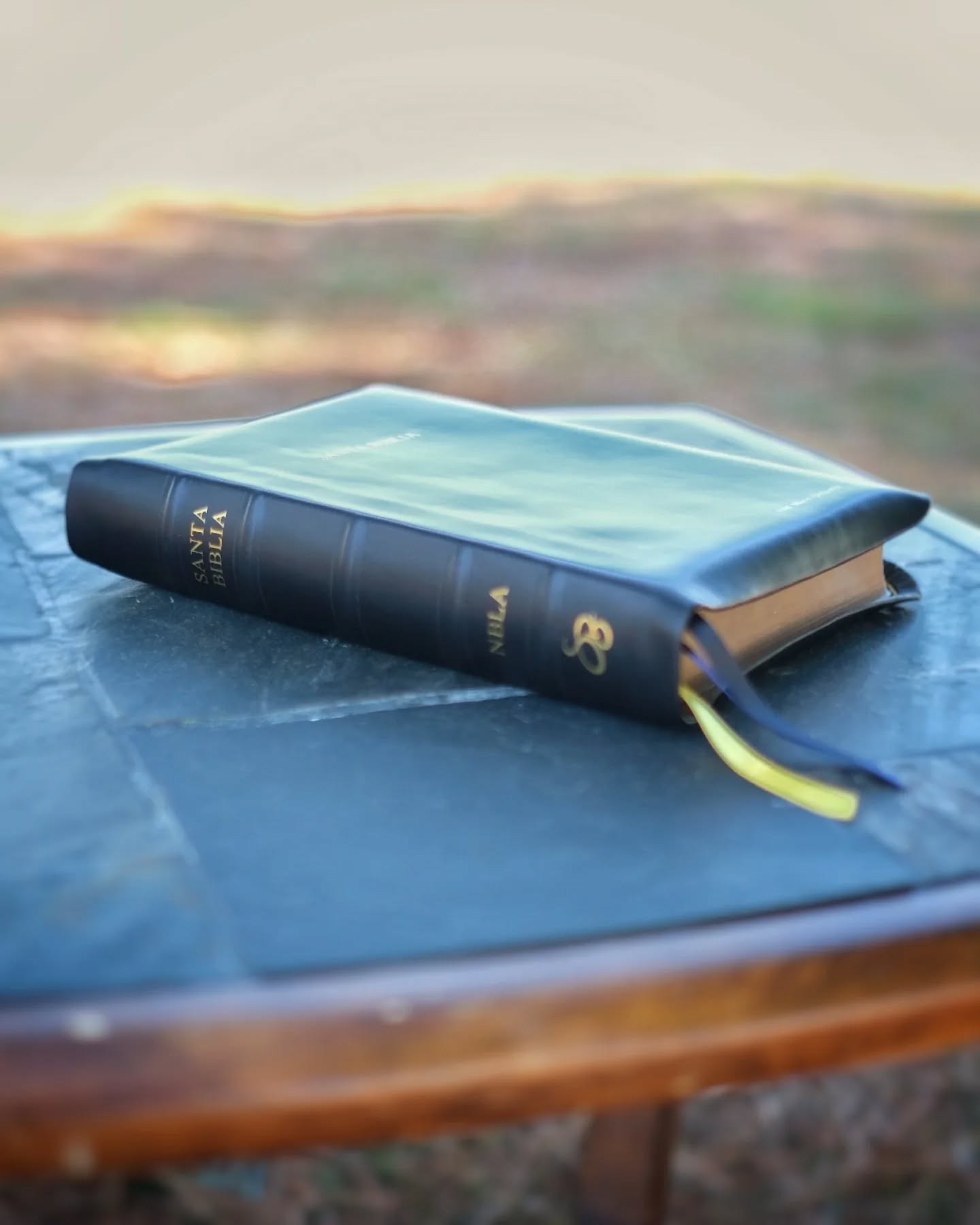 Red Wine Nappa Lambskin NBLA thumbnail 4