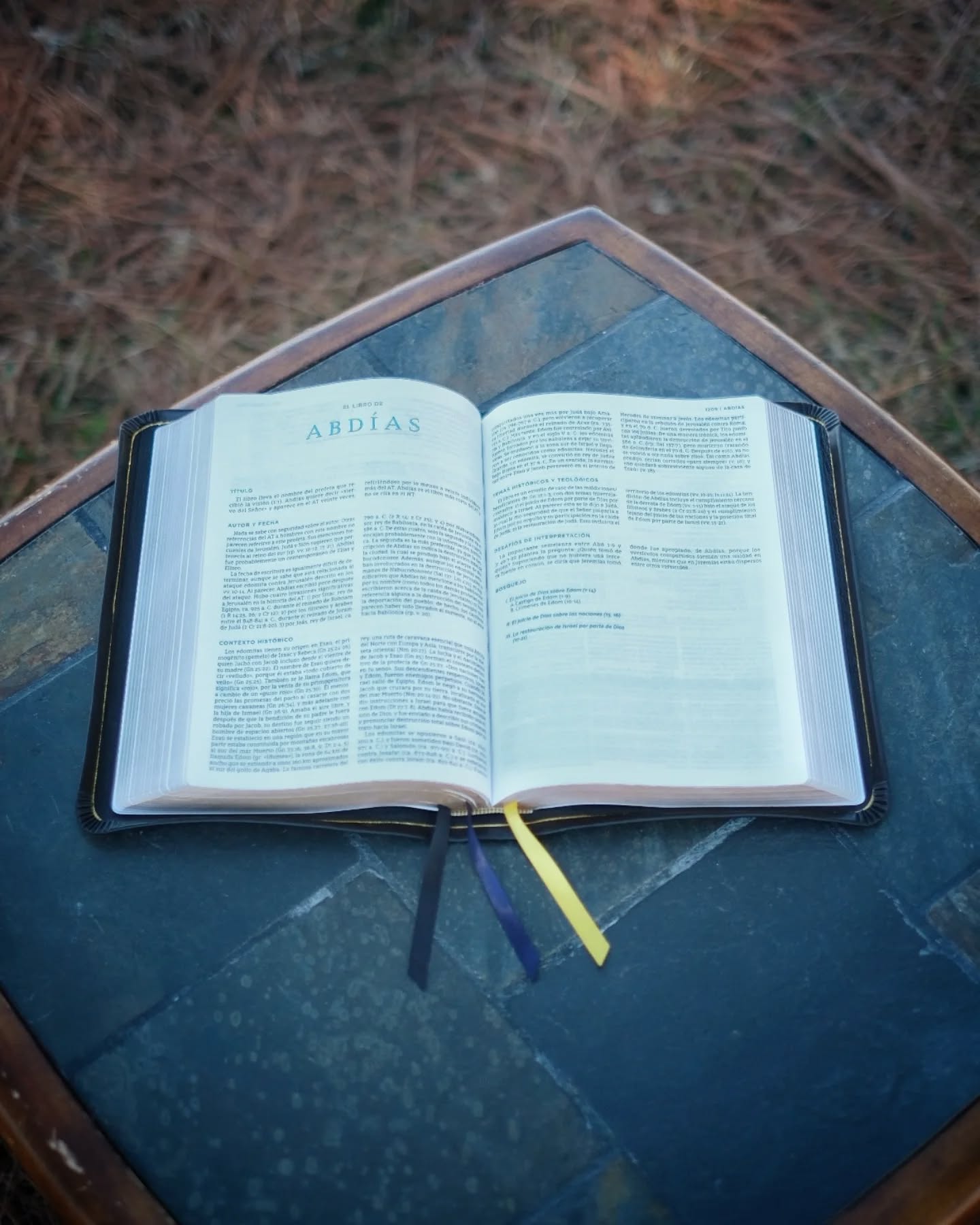 Red Wine Nappa Lambskin NBLA thumbnail 6