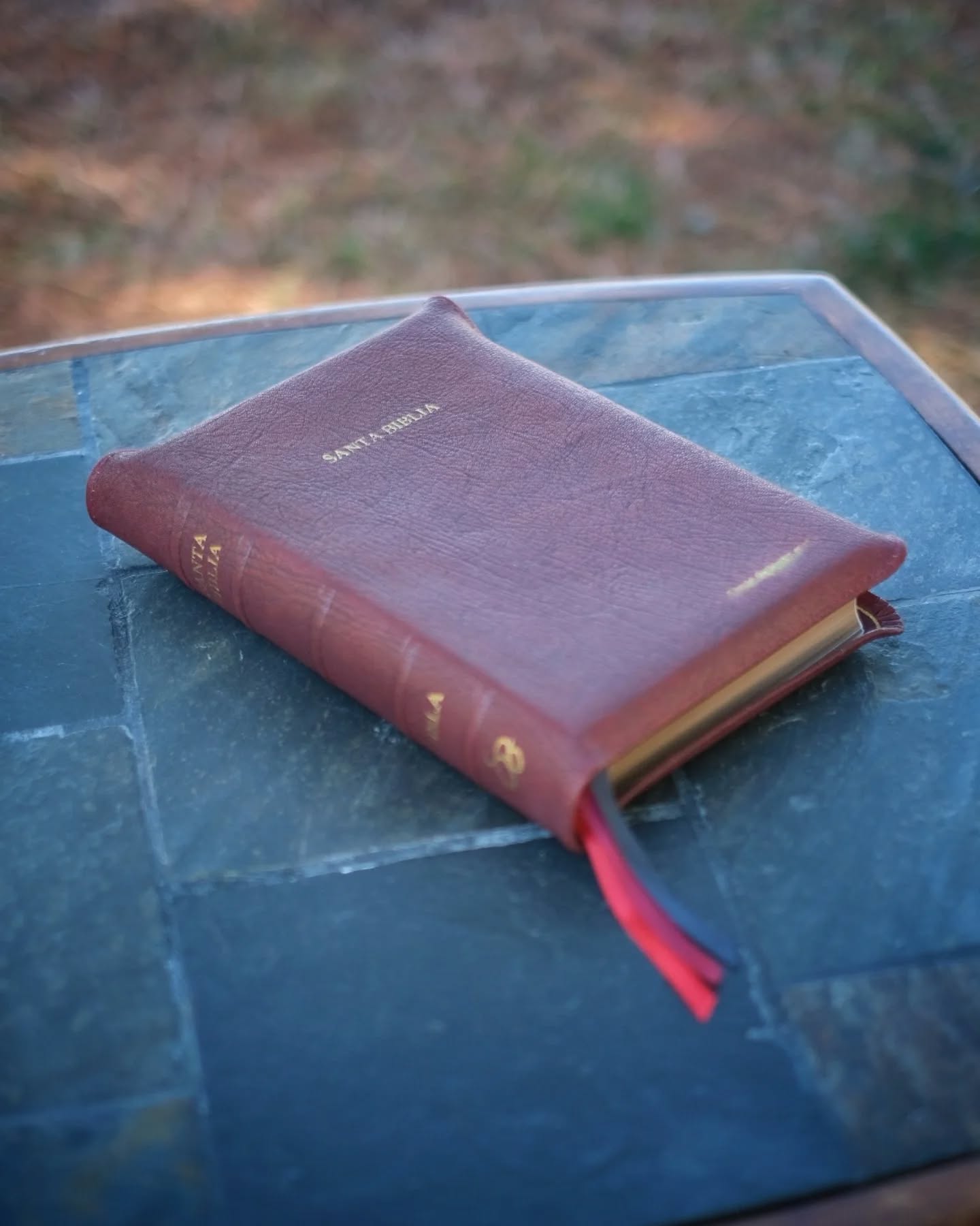 Red Wine Nappa Lambskin NBLA thumbnail 7