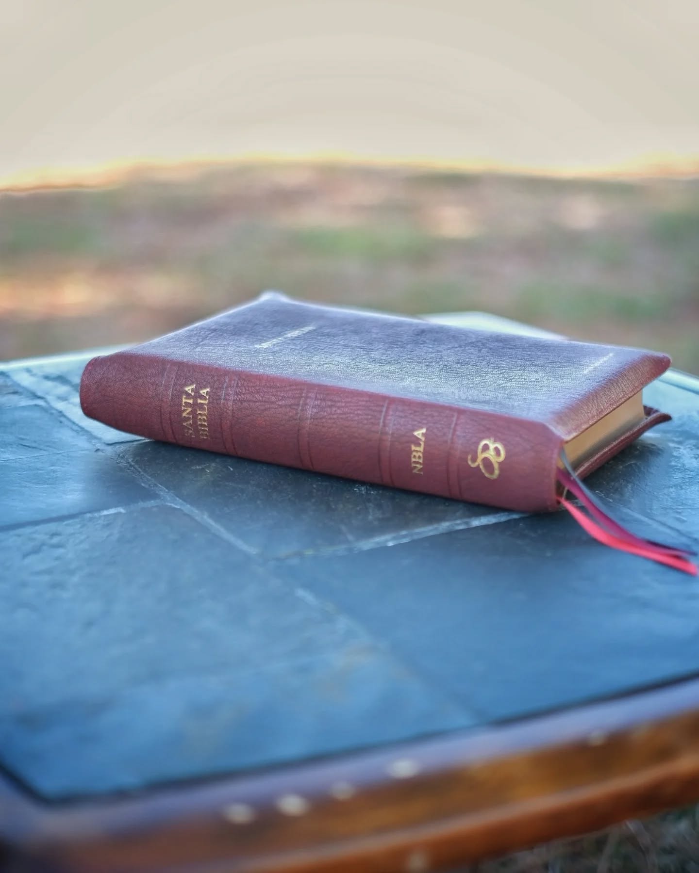 Red Wine Nappa Lambskin NBLA thumbnail 8