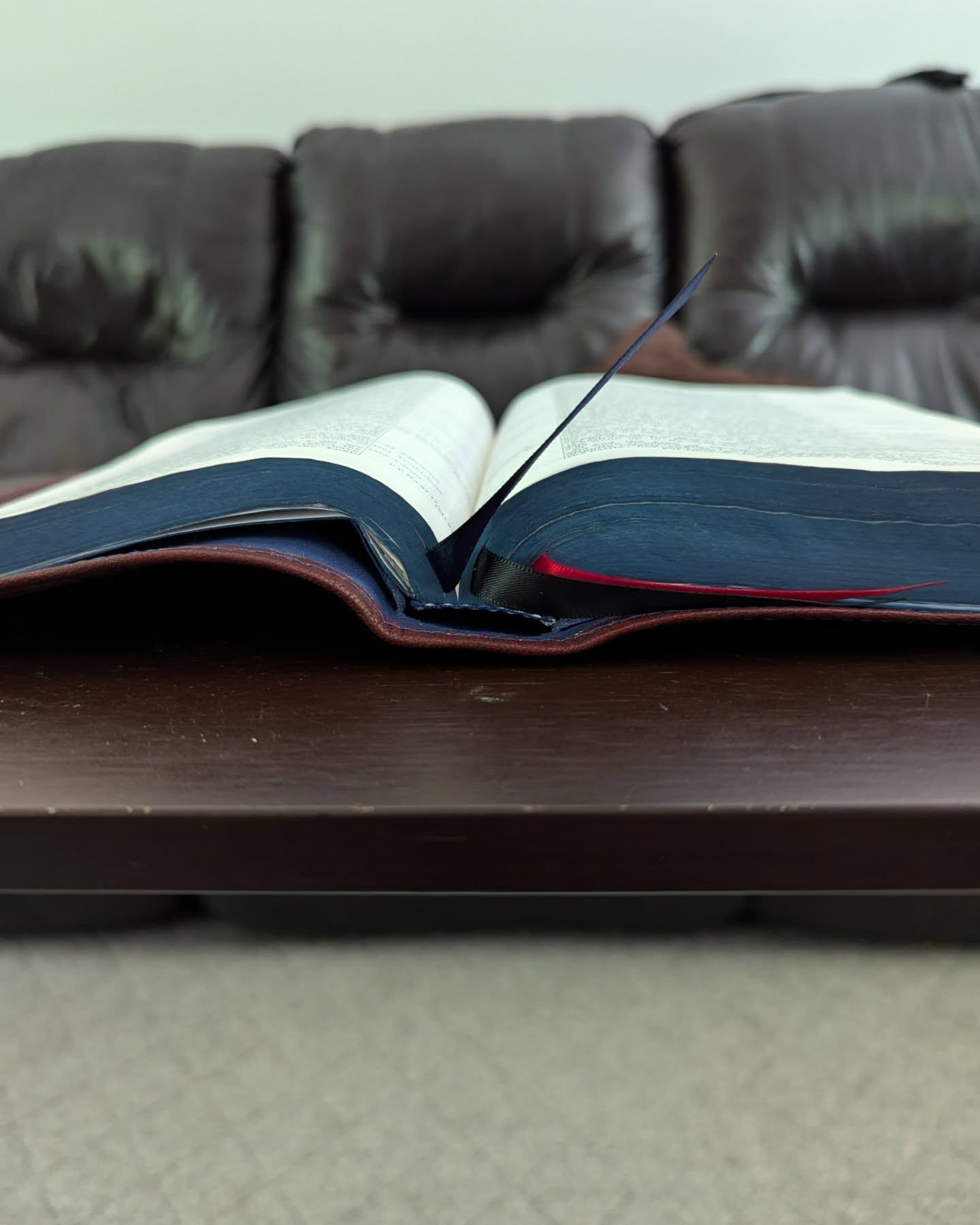 Red Wine Goatskin KJV thumbnail 5