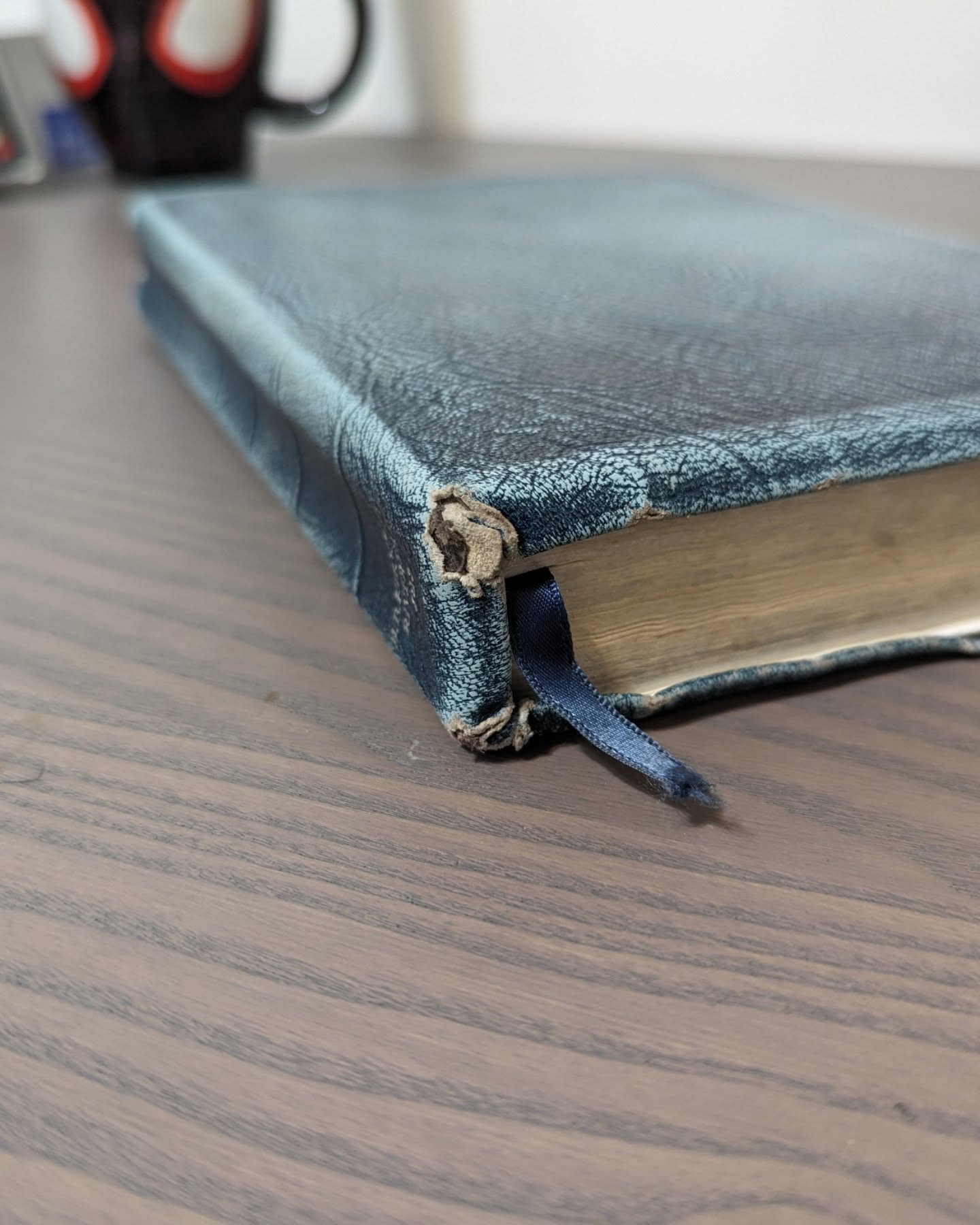 Red Wine Goatskin KJV thumbnail 8