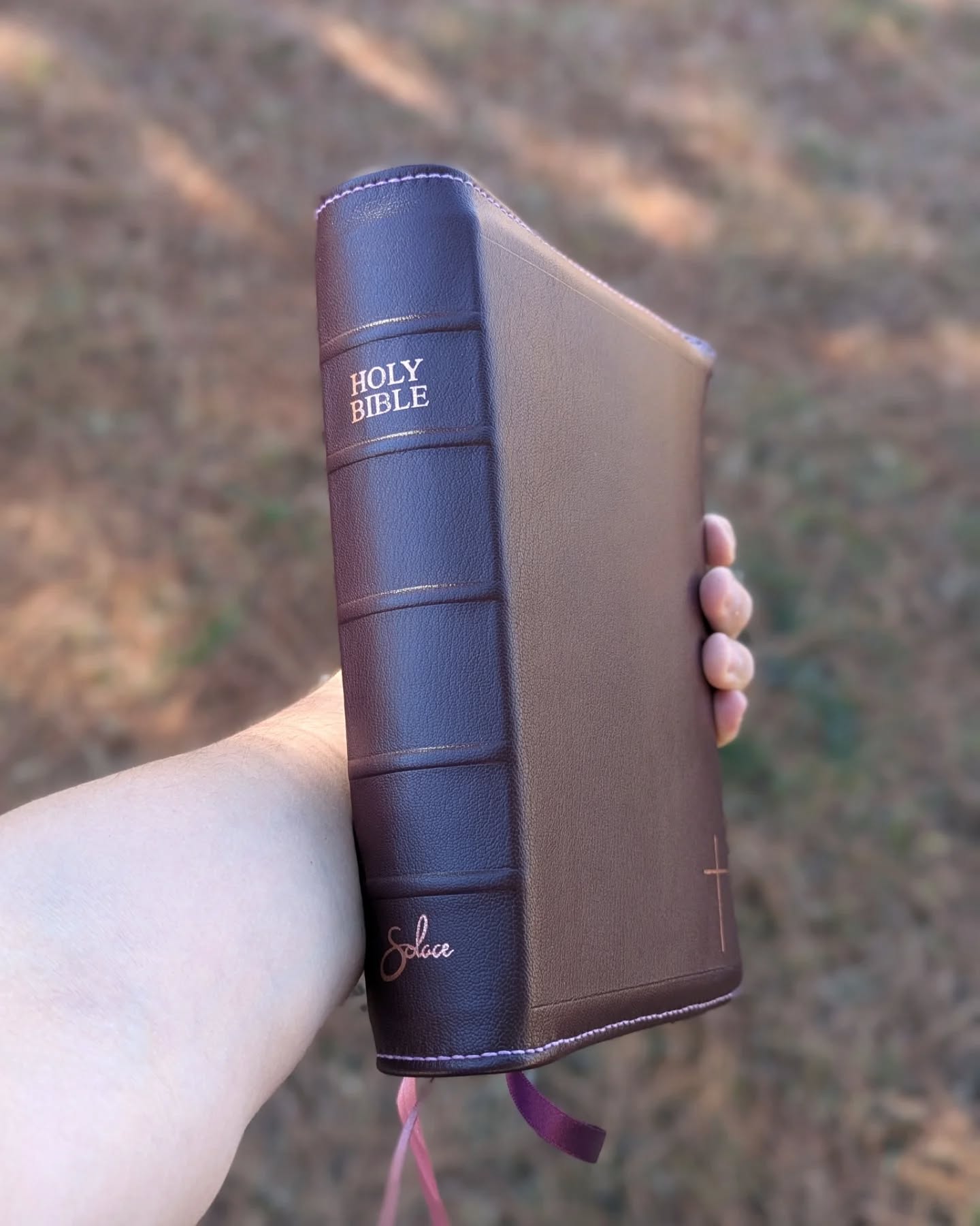 Aubergine Alran Sully KJV thumbnail 2