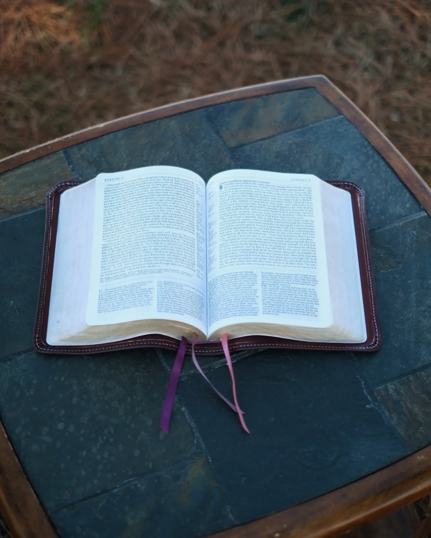 Aubergine Alran Sully KJV thumbnail 3