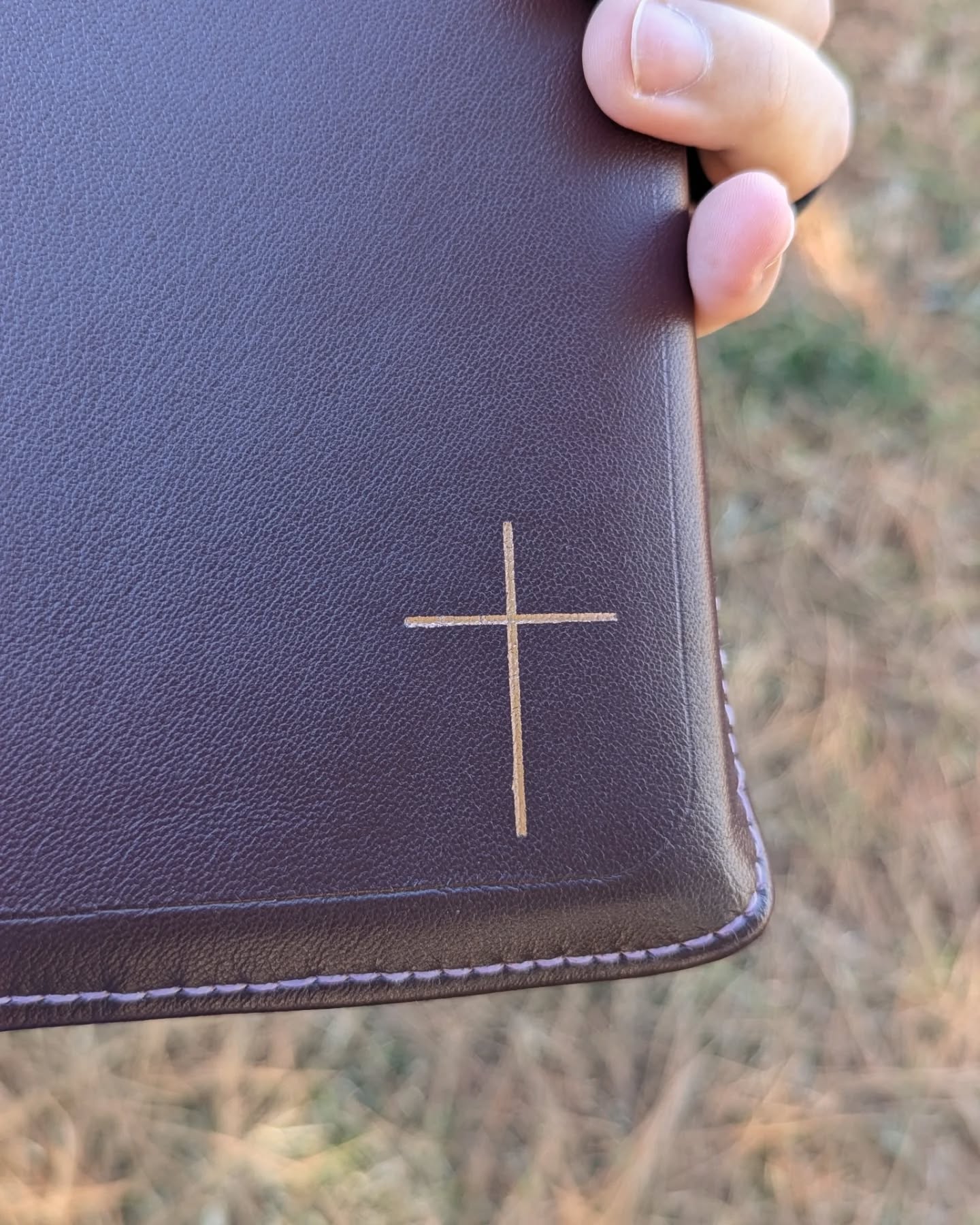 Aubergine Alran Sully KJV thumbnail 4