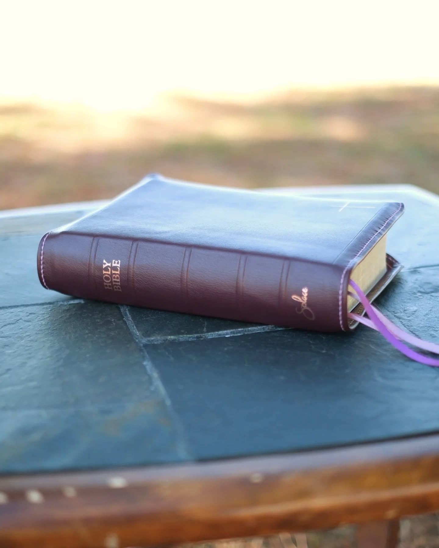 Aubergine Alran Sully KJV thumbnail 5