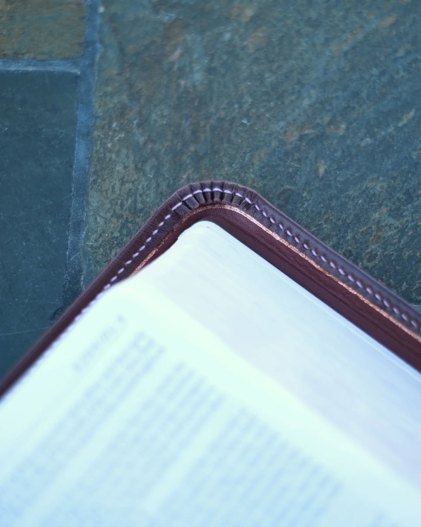 Aubergine Alran Sully KJV thumbnail 6