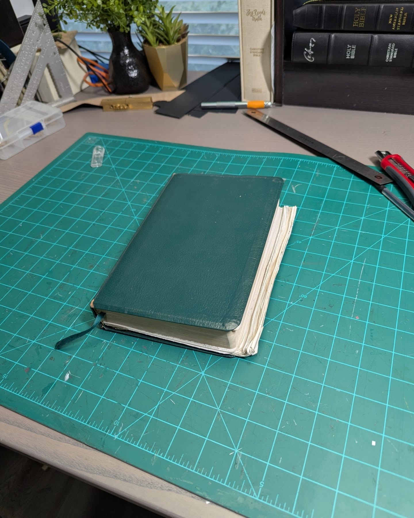 Hunter Green Badalassi Carlo Waxy NIV thumbnail 2