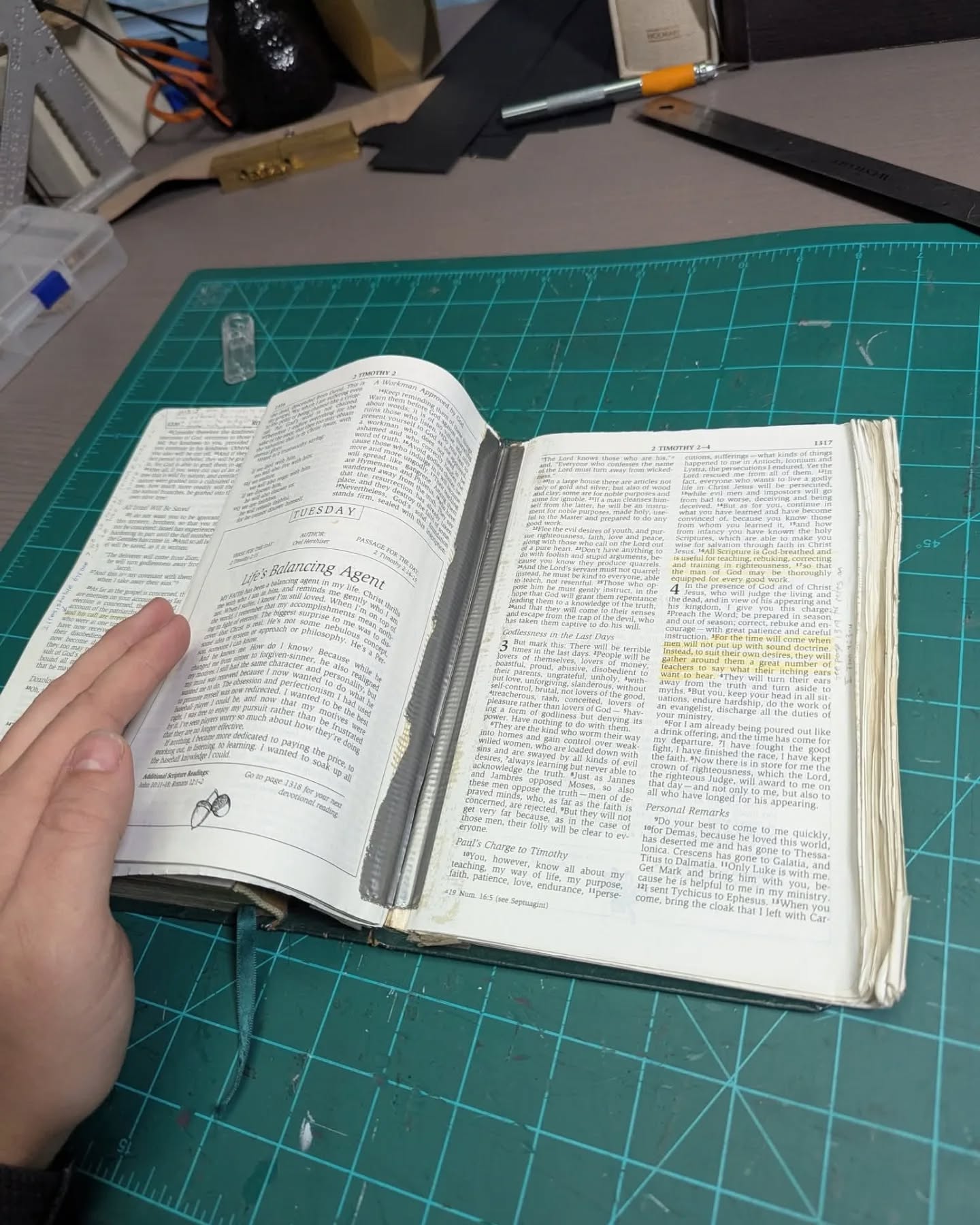 Hunter Green Badalassi Carlo Waxy NIV thumbnail 4