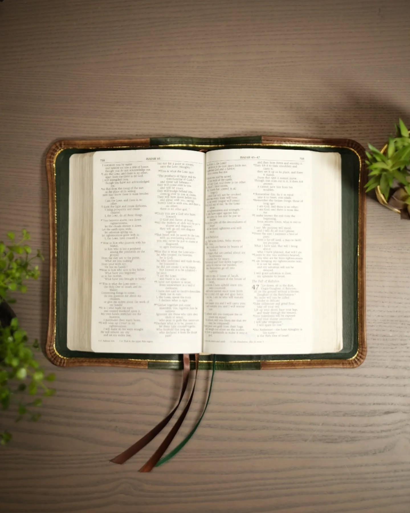 Hunter Green Badalassi Carlo Waxy NIV thumbnail 7