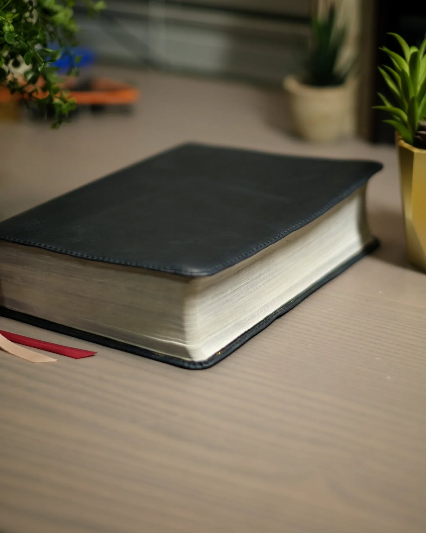 Navy Badalassi Carlo Waxy NIV thumbnail 3