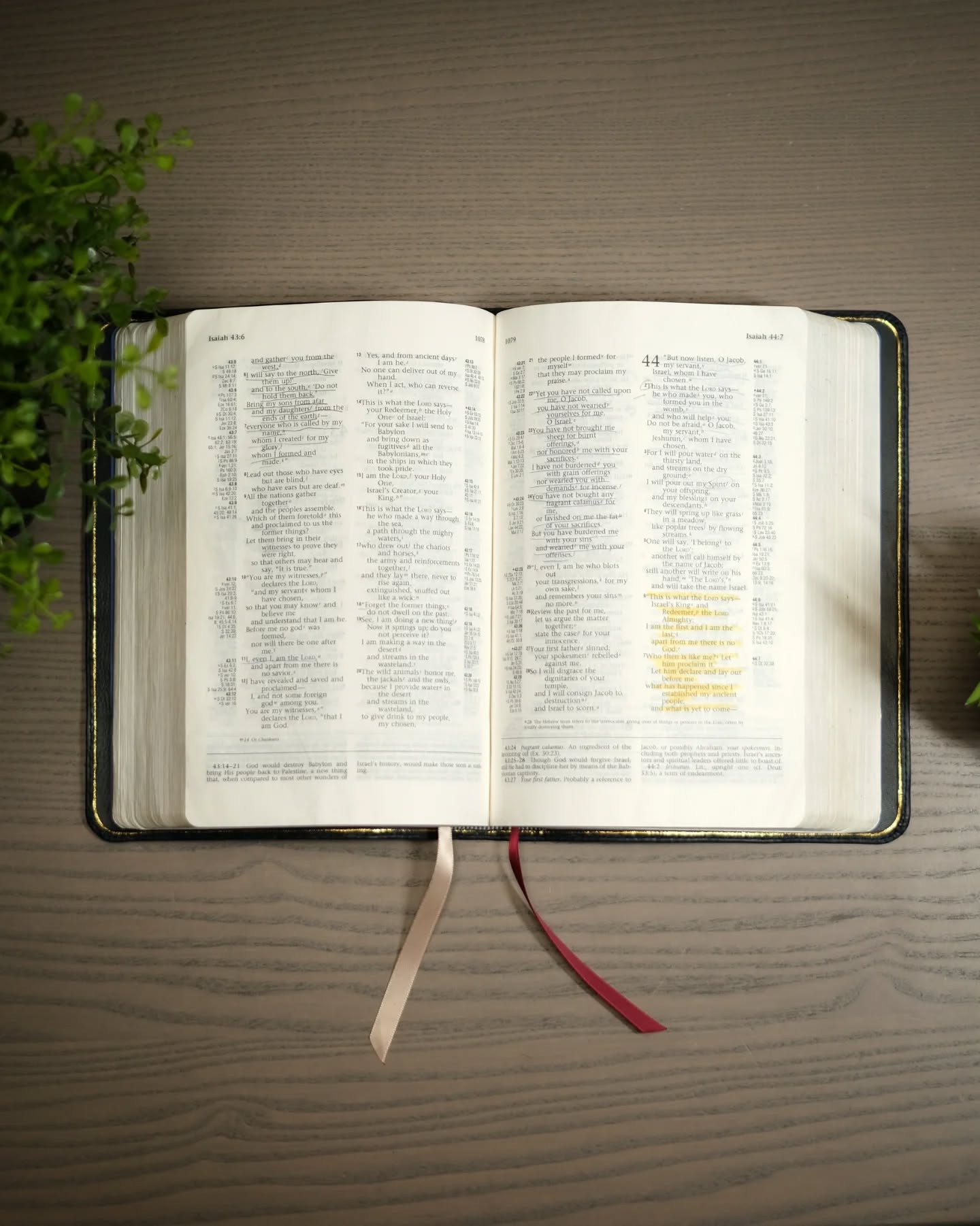 Navy Badalassi Carlo Waxy NIV thumbnail 4