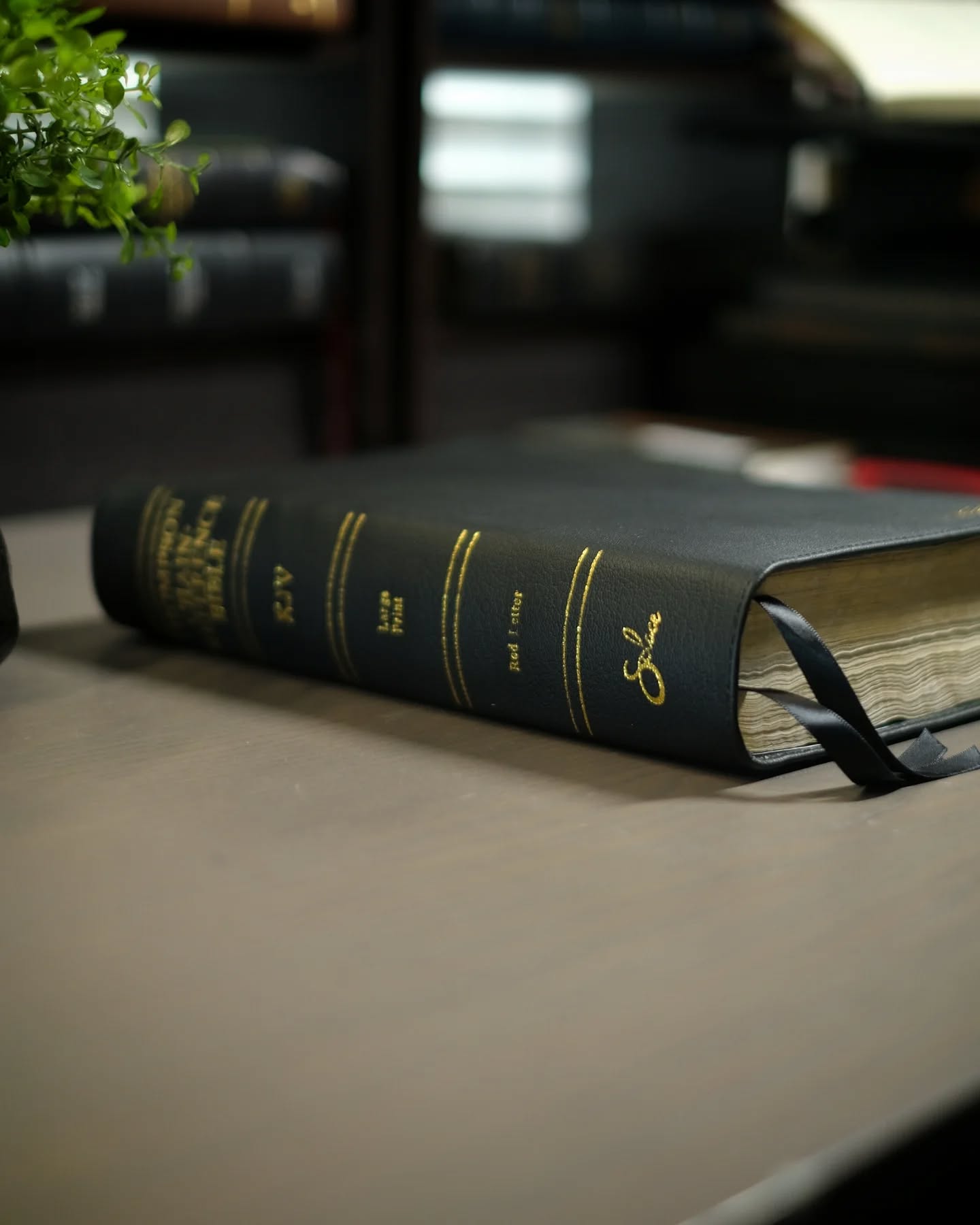 Black Alran Sully KJV thumbnail 2