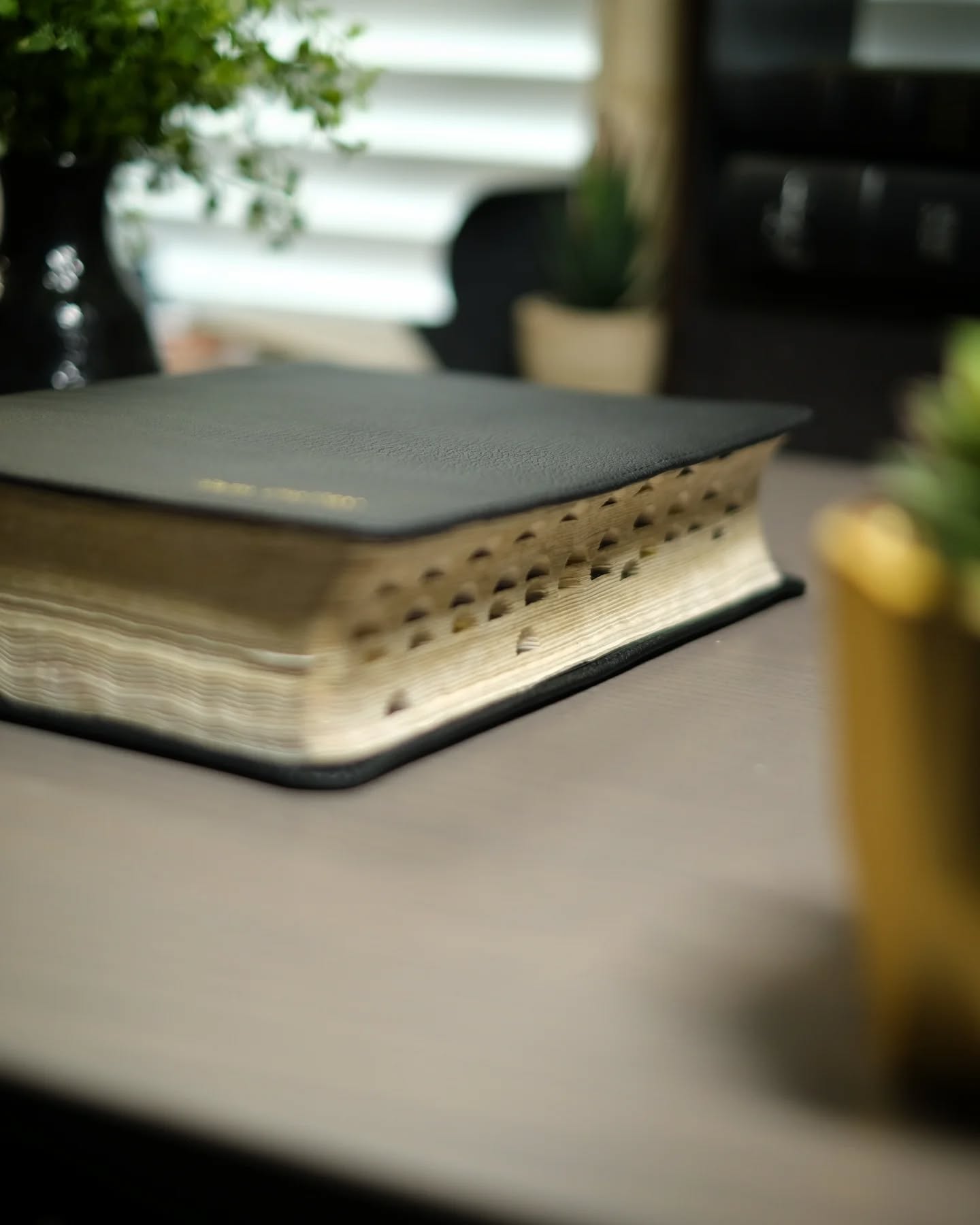 Black Alran Sully KJV thumbnail 3