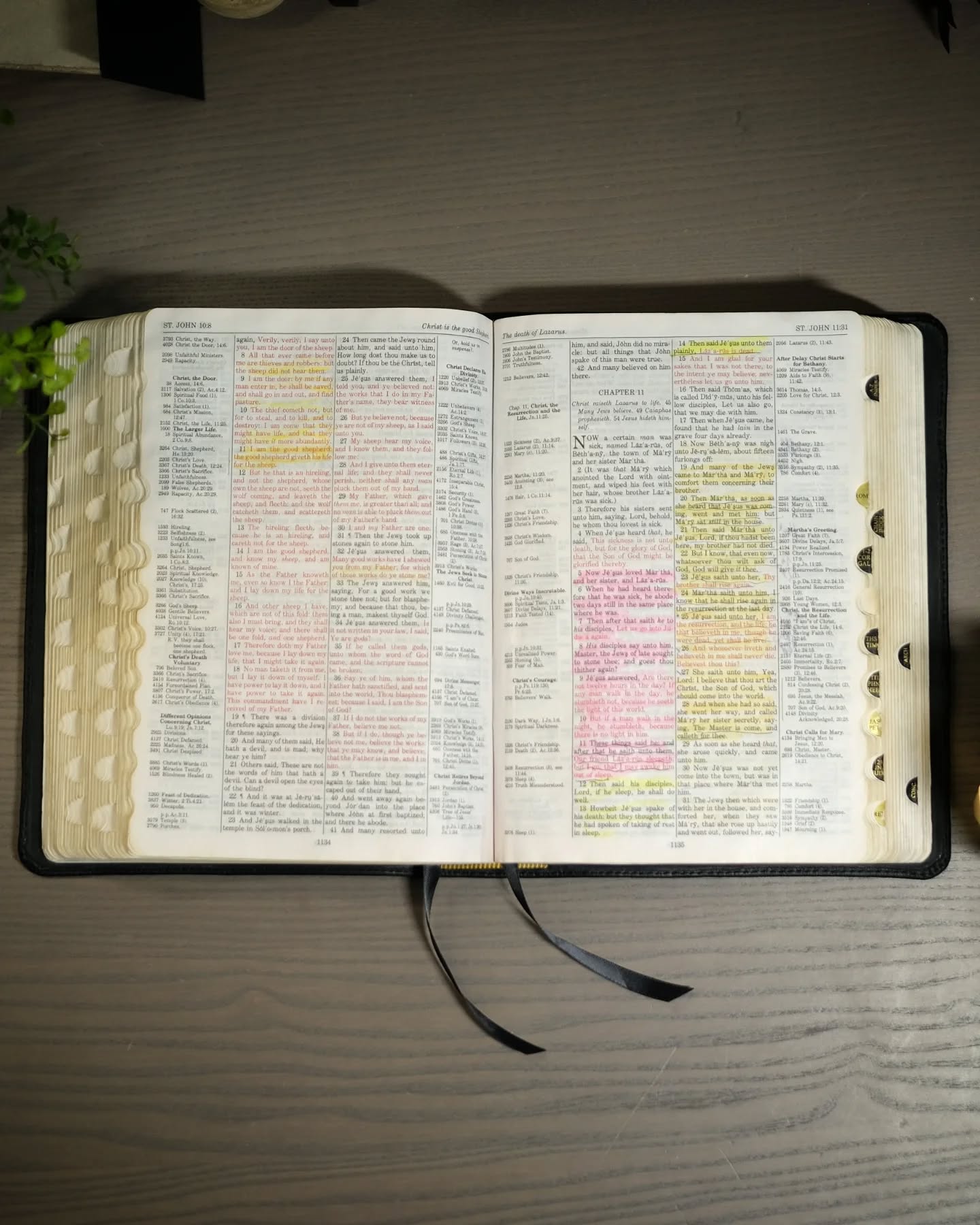 Black Alran Sully KJV thumbnail 4