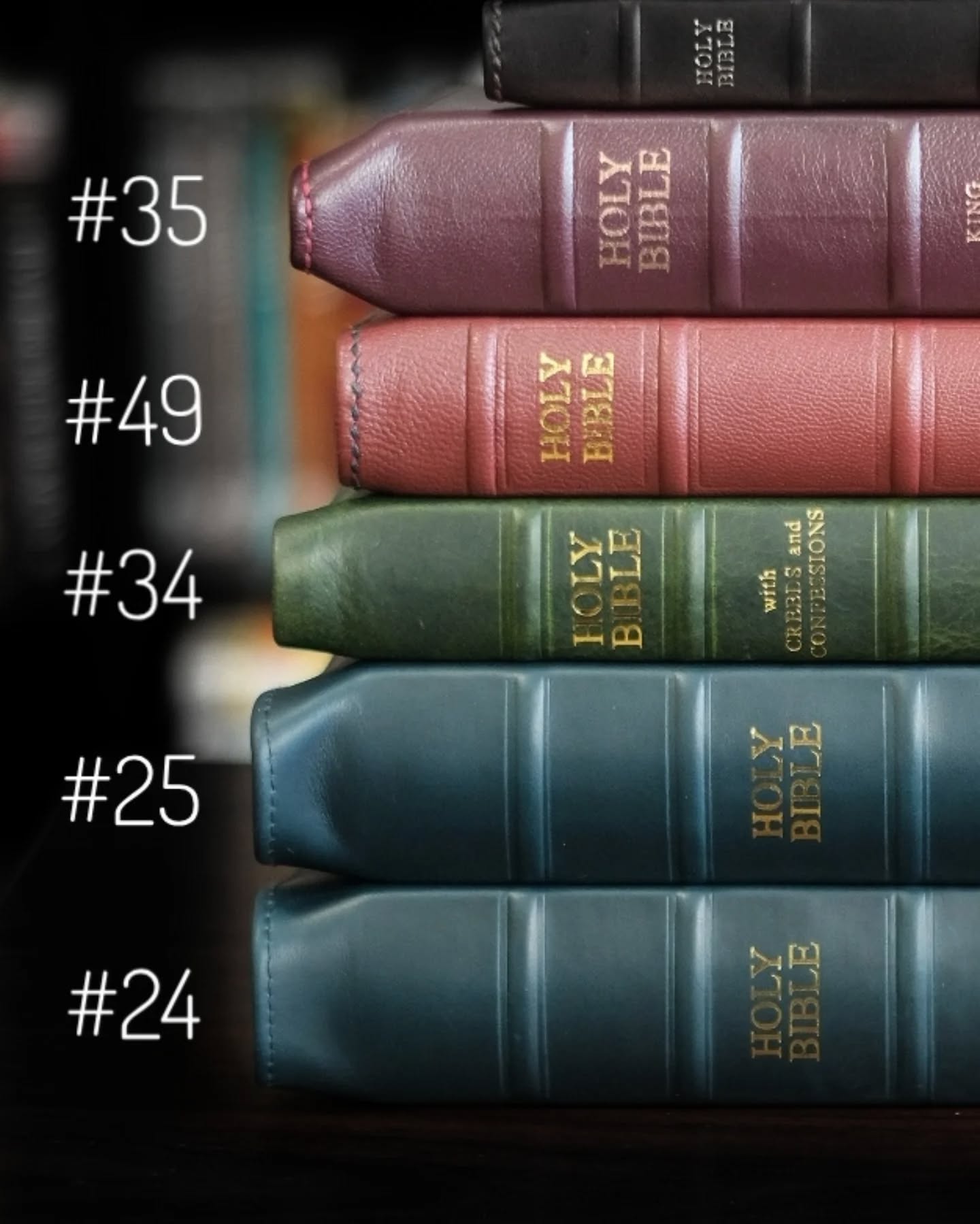 Unknown Leather ESV thumbnail 2