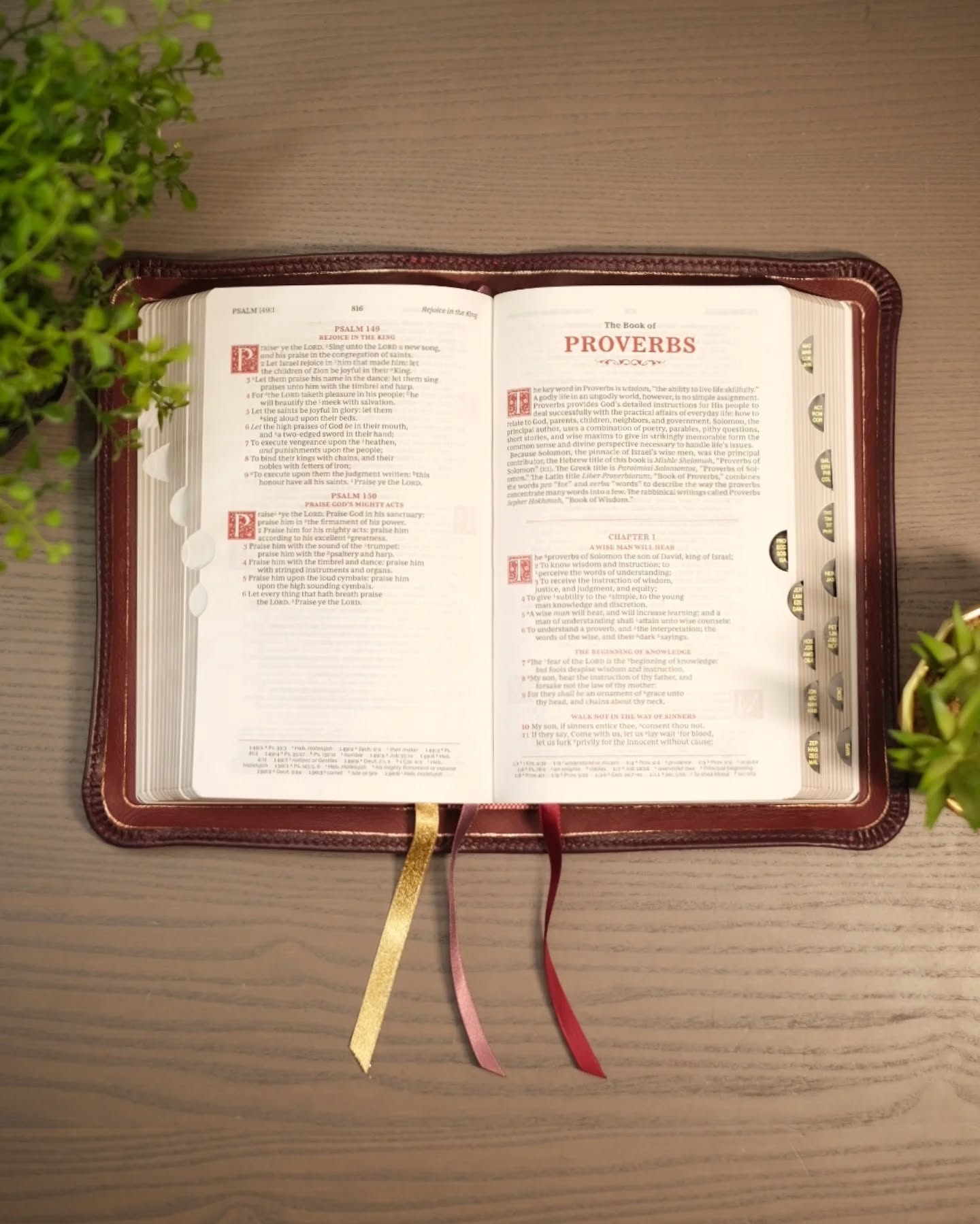 Aubergine Leather ESV thumbnail 2