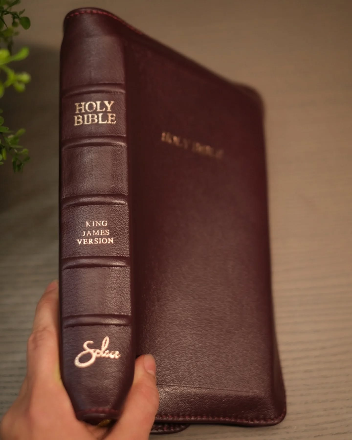 Aubergine Leather ESV thumbnail 3