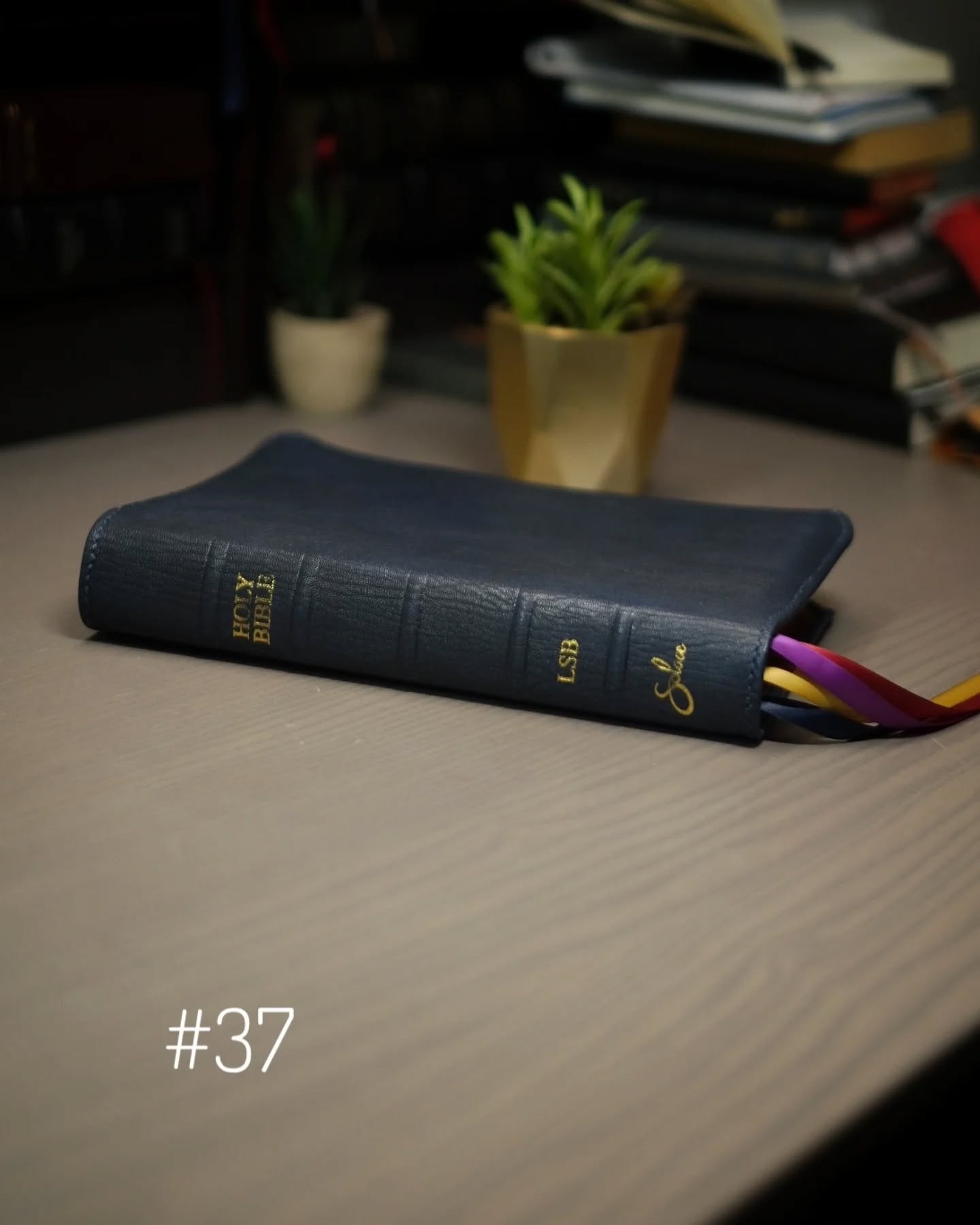 Deep Blue Alran Patnat LSB