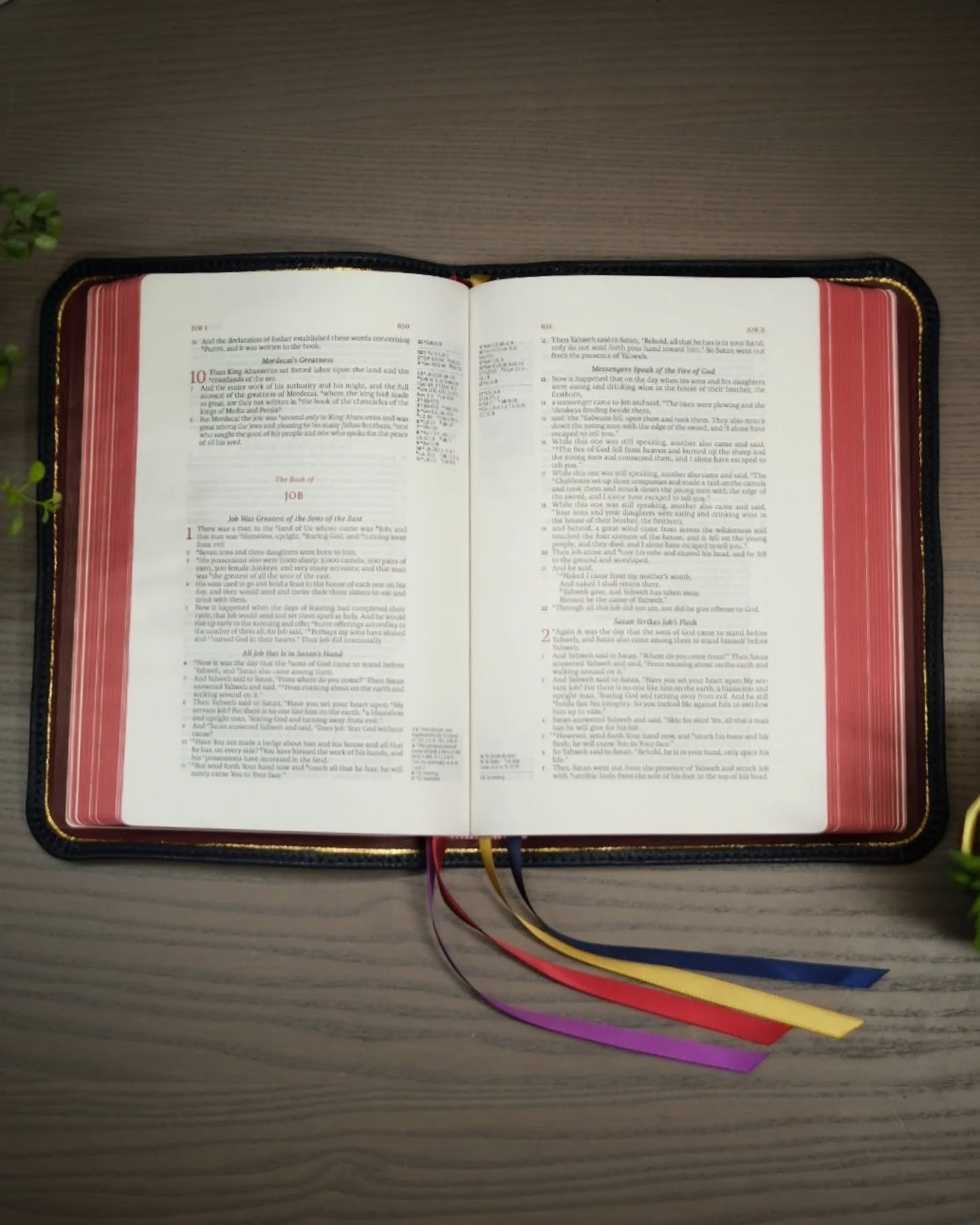 Deep Blue Alran Patnat LSB thumbnail 4