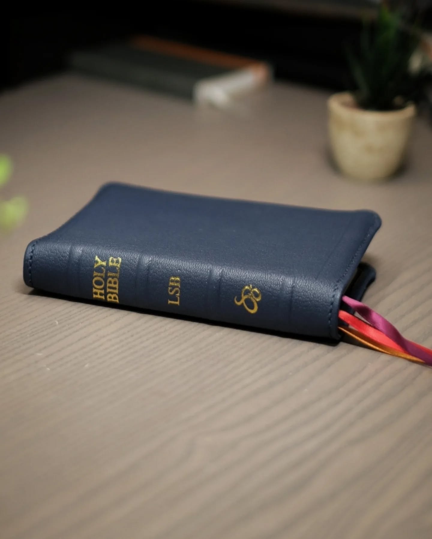 Unknown Leather ESV thumbnail 2