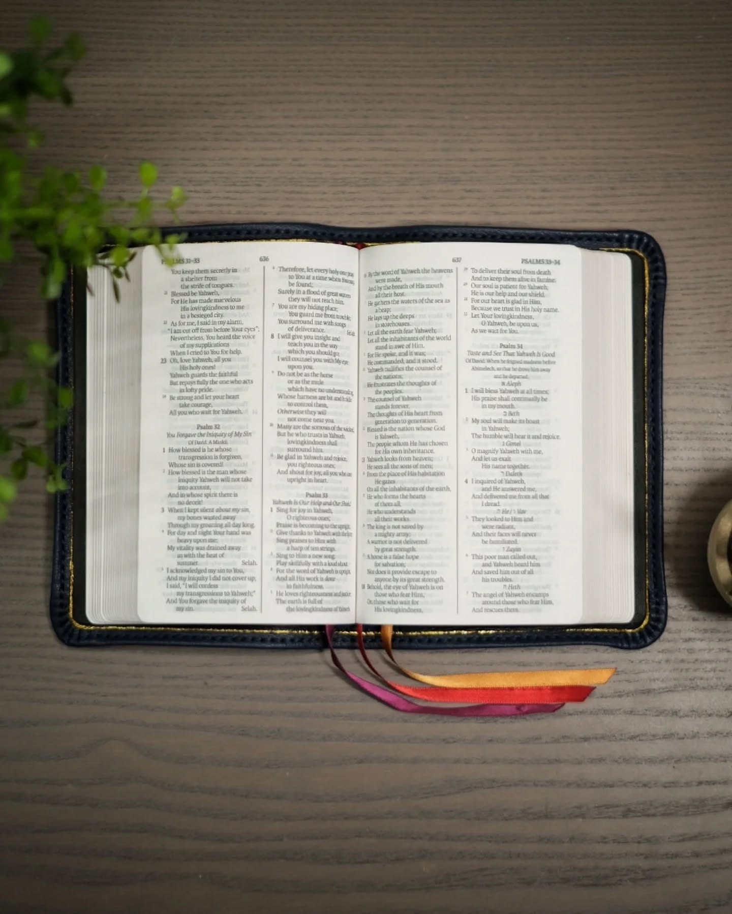 Unknown Leather ESV thumbnail 3