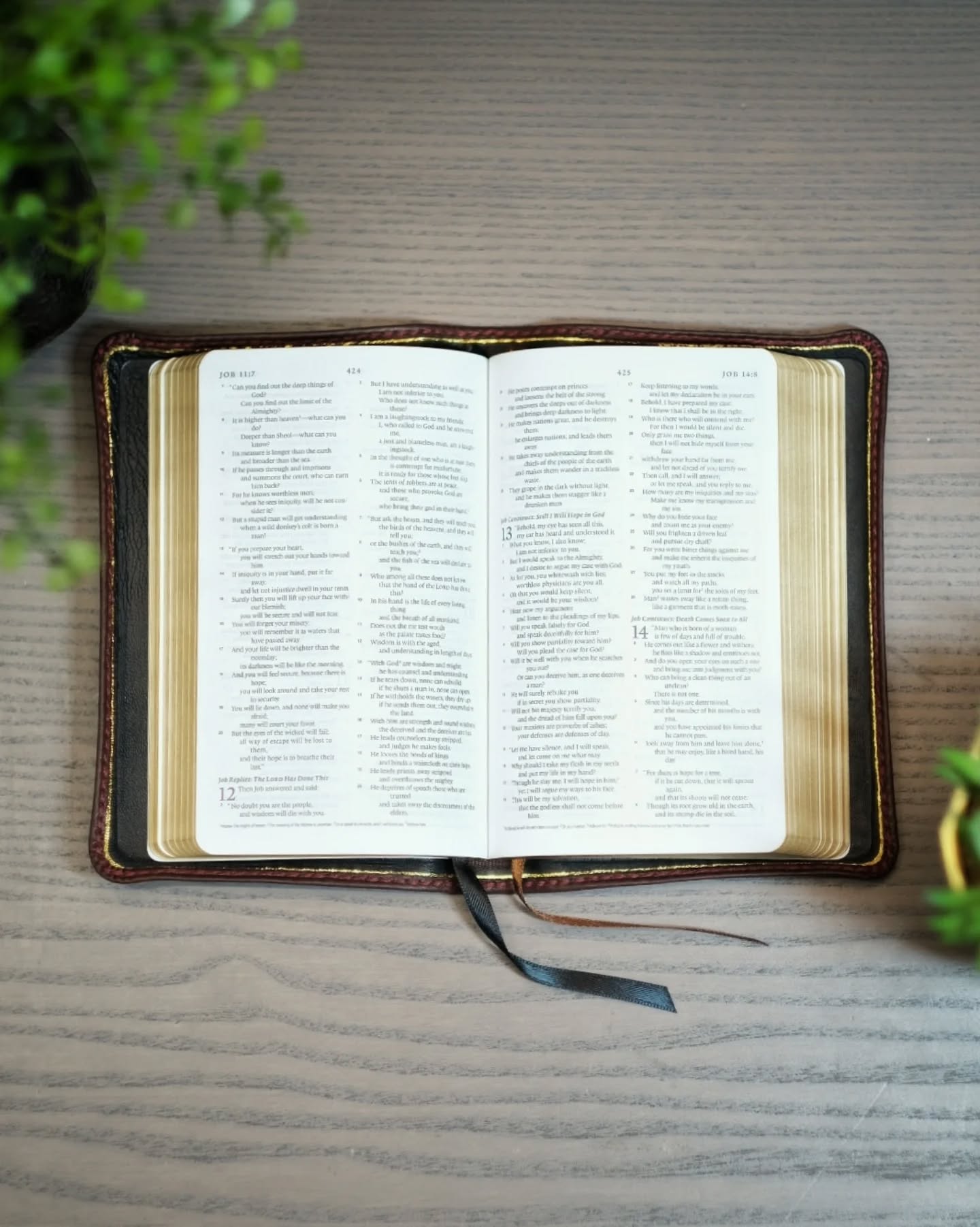 Tan Leather ESV thumbnail 2