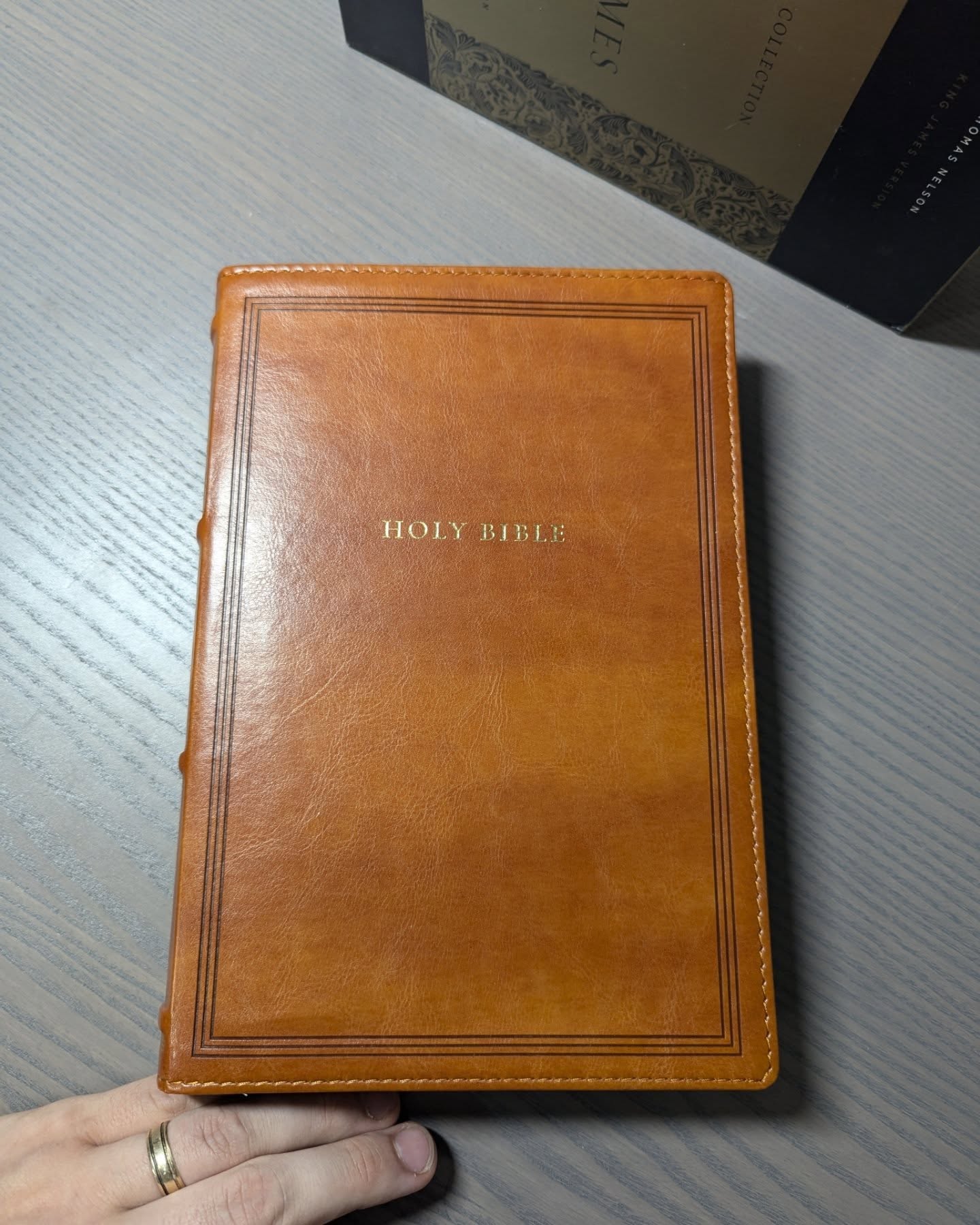 Black Alran Sully KJV thumbnail 10