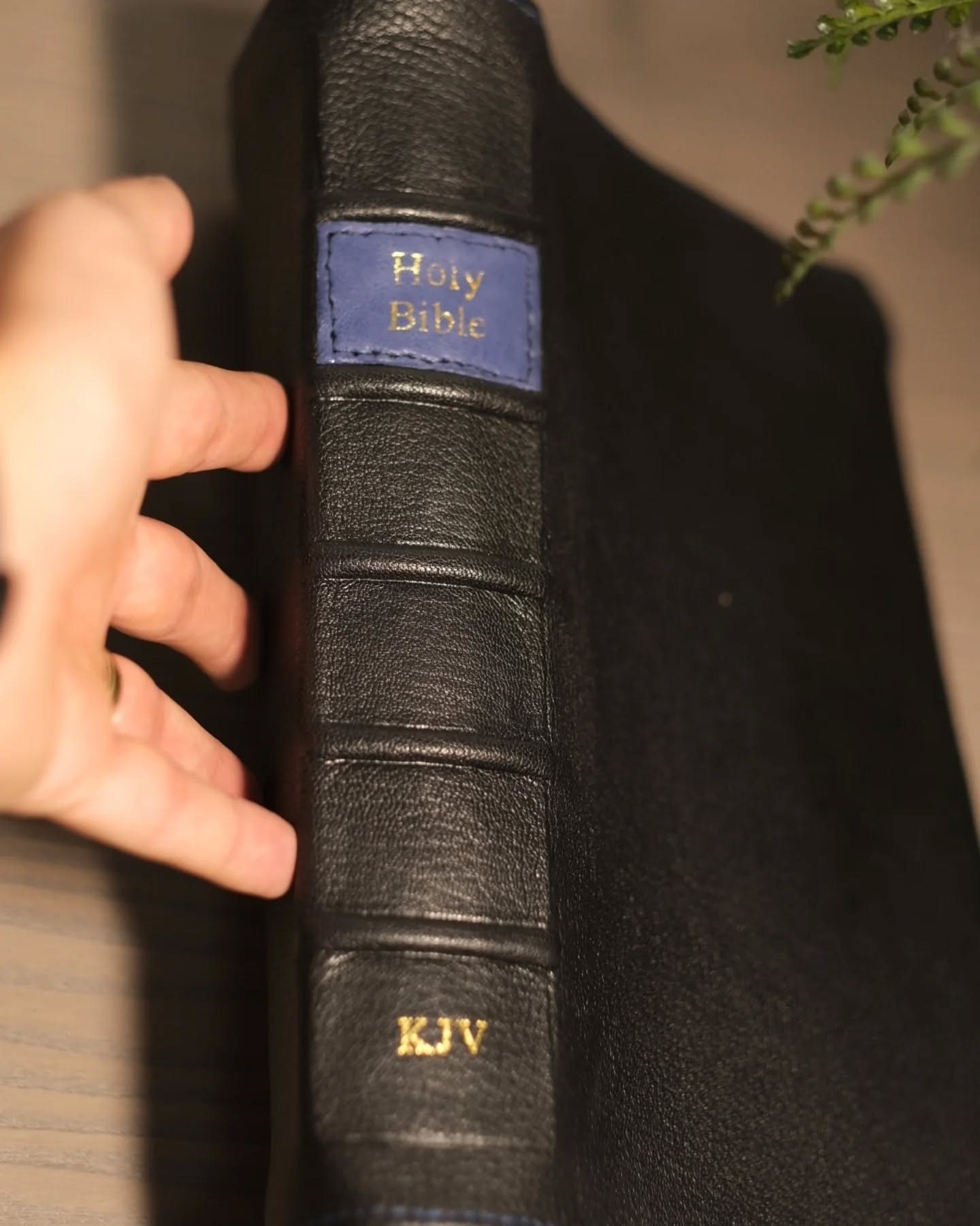 Black Alran Sully KJV thumbnail 8
