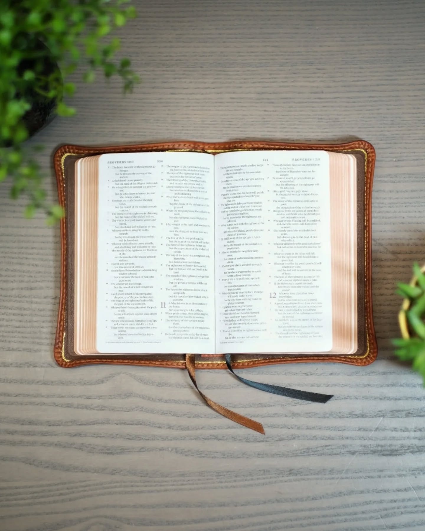 Olmo Cowhide ESV thumbnail 2