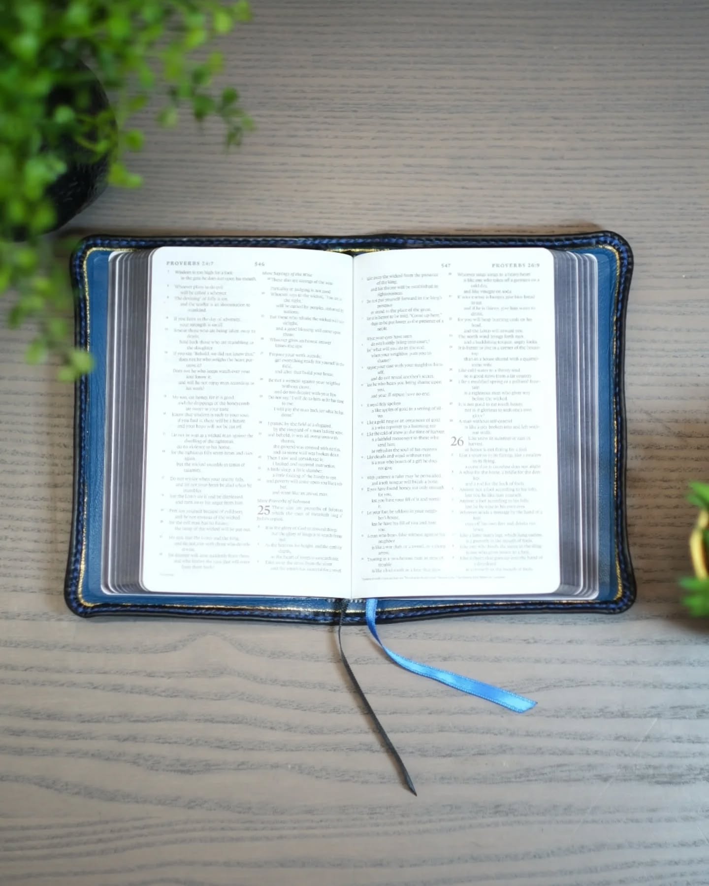 Unknown Leather ESV thumbnail 2