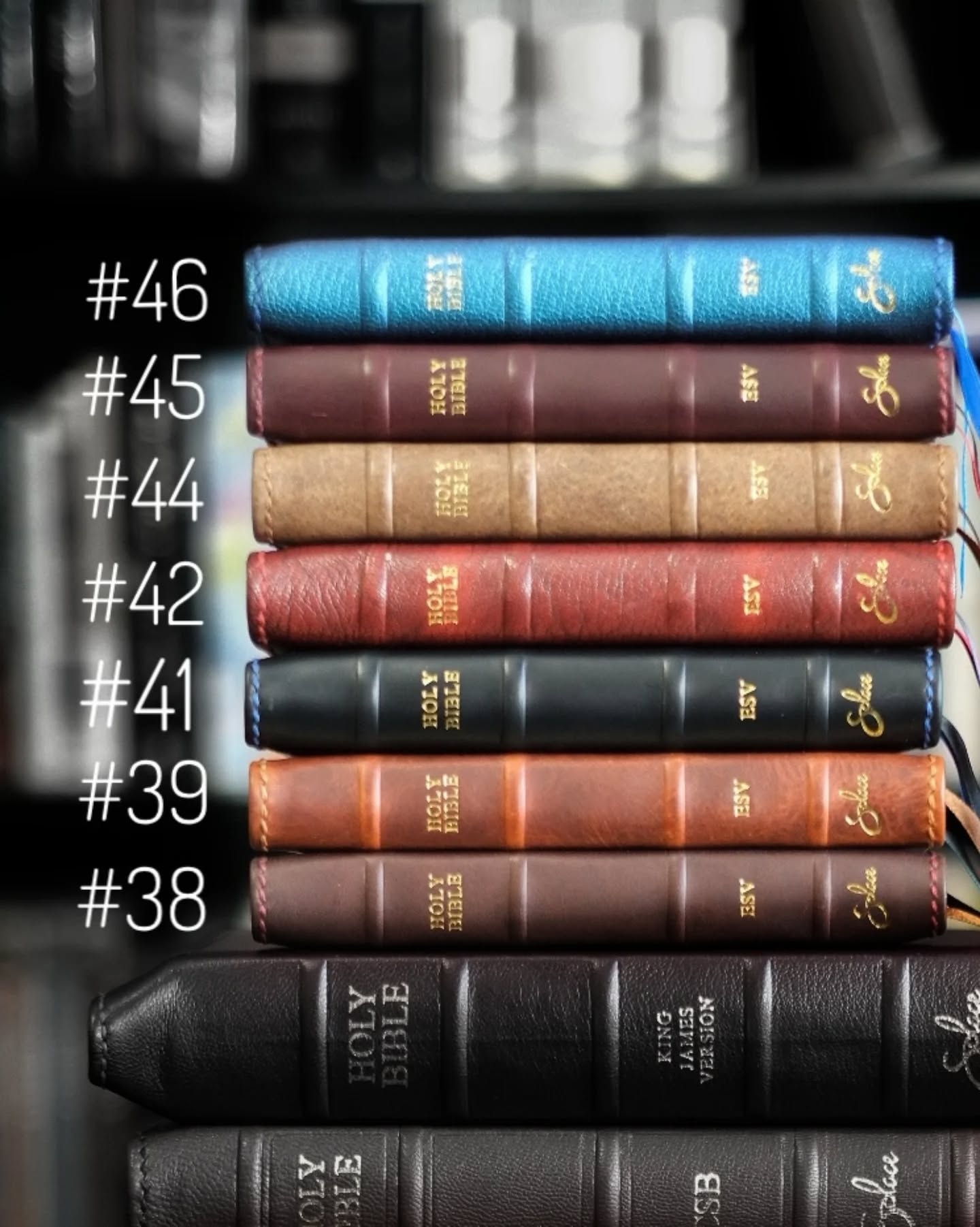 Unknown Leather ESV thumbnail 3