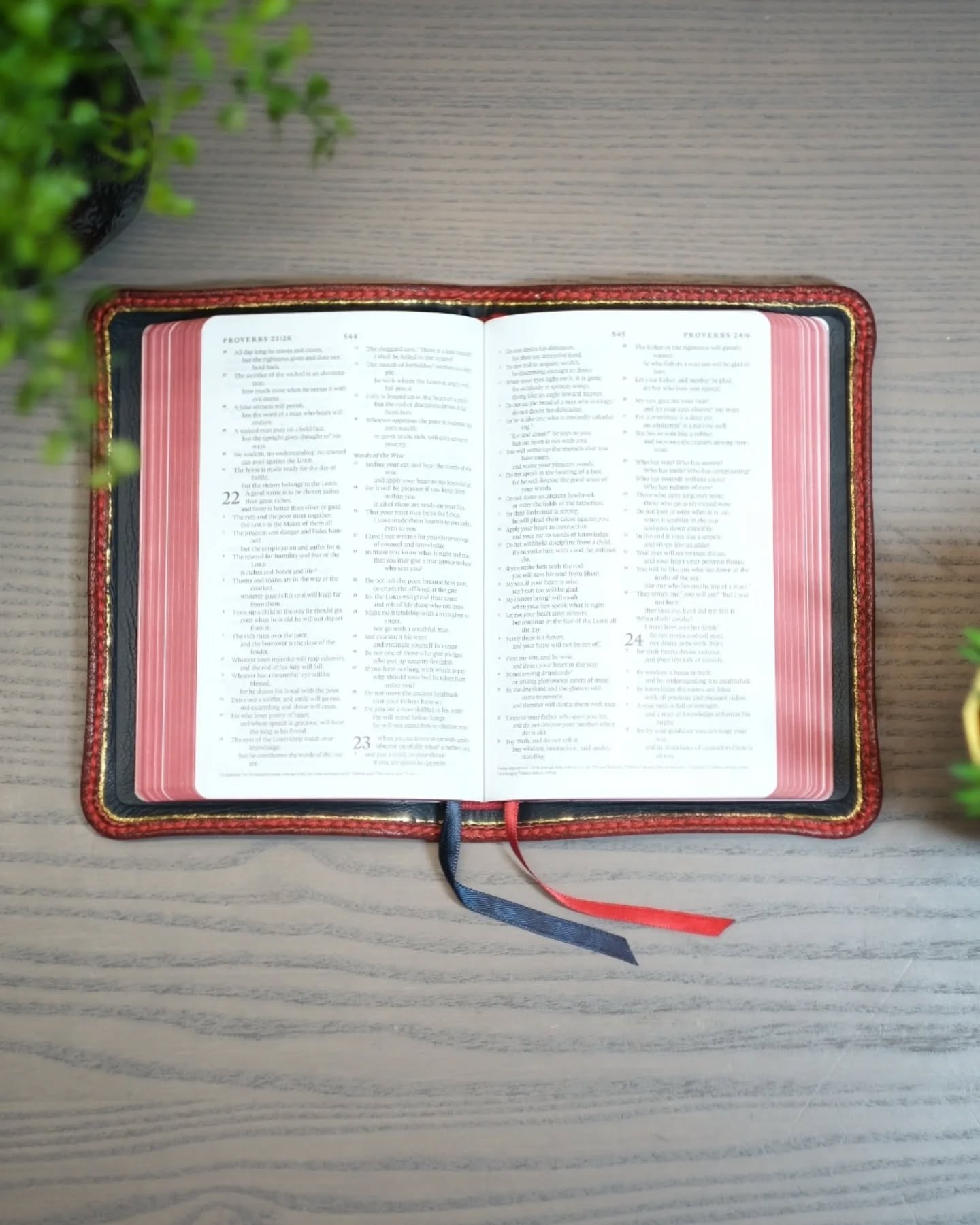 Red Wine Leather ESV thumbnail 2