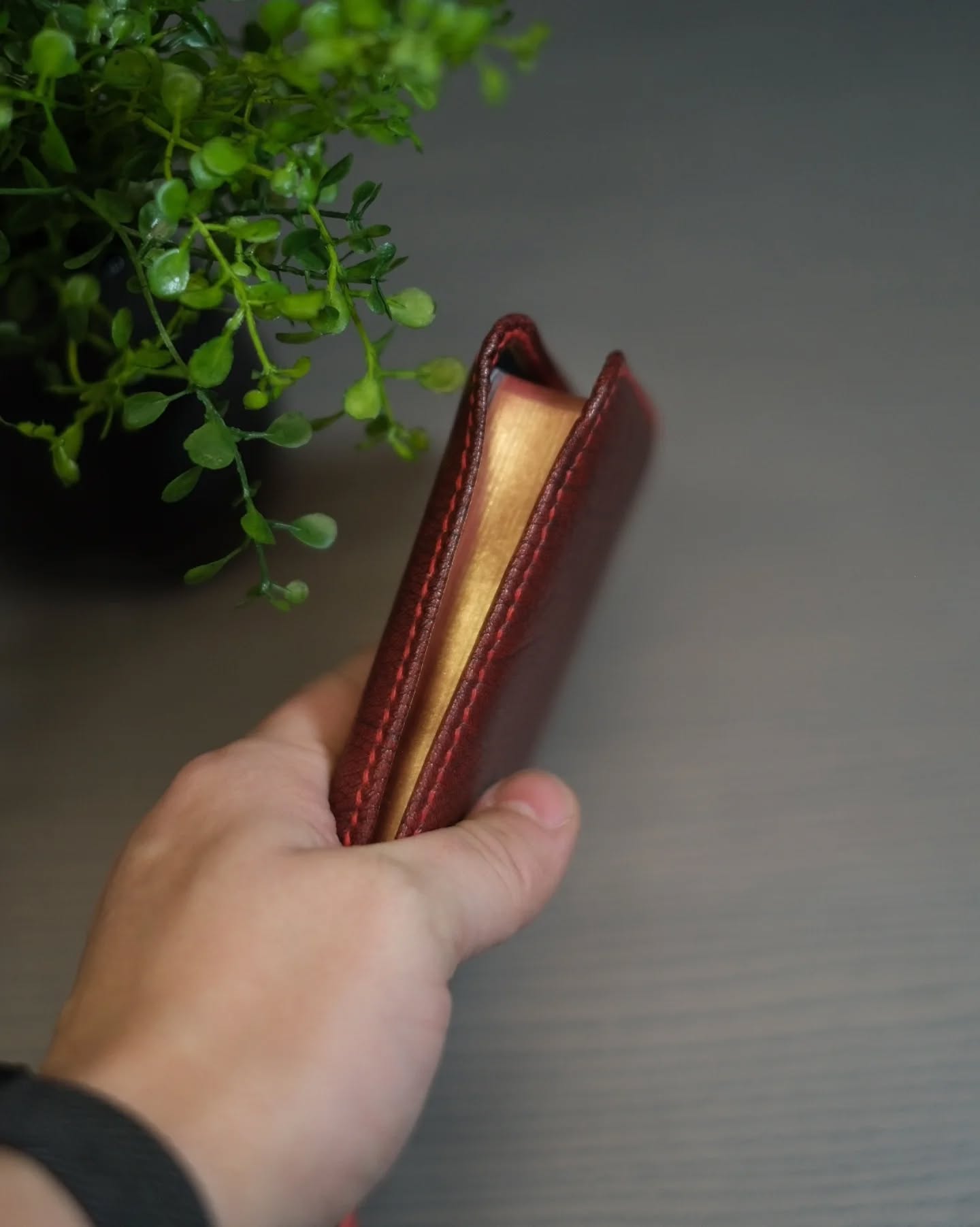 Red Wine Alran Patnat ESV thumbnail 6
