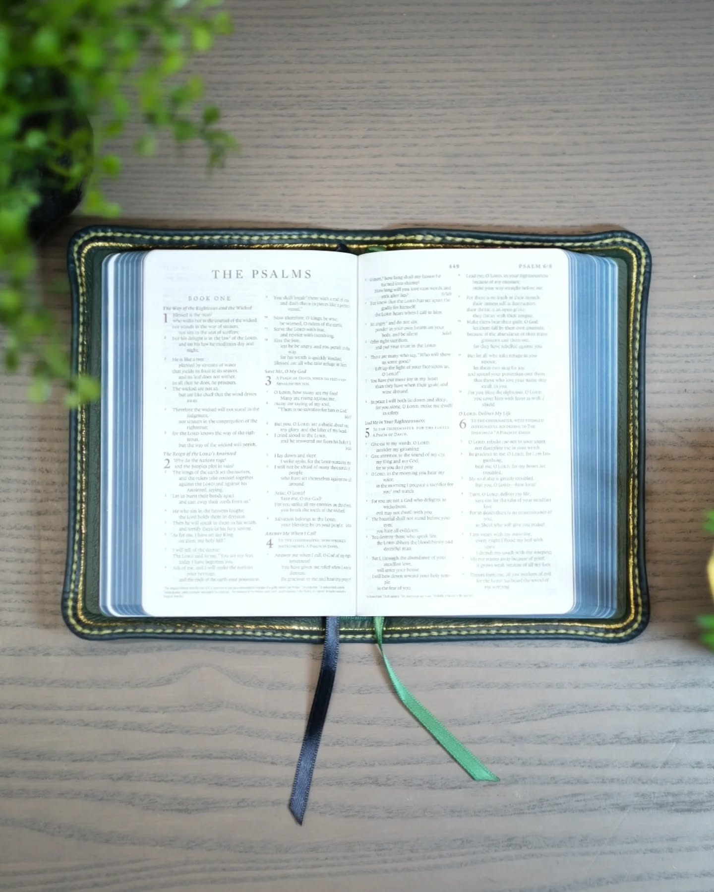 Sapphire Blue Seidel Double Shot ESV thumbnail 2