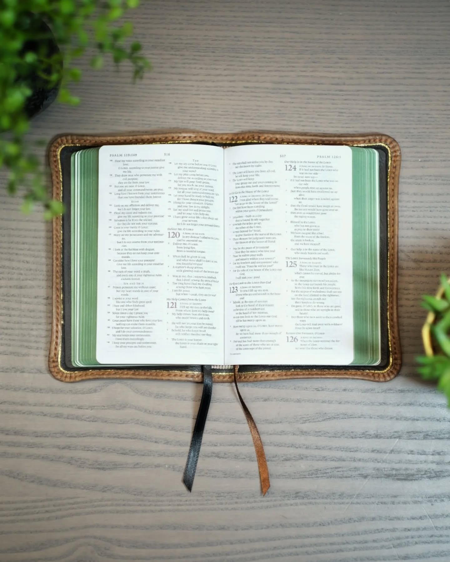 Macchiato Leather ESV thumbnail 2