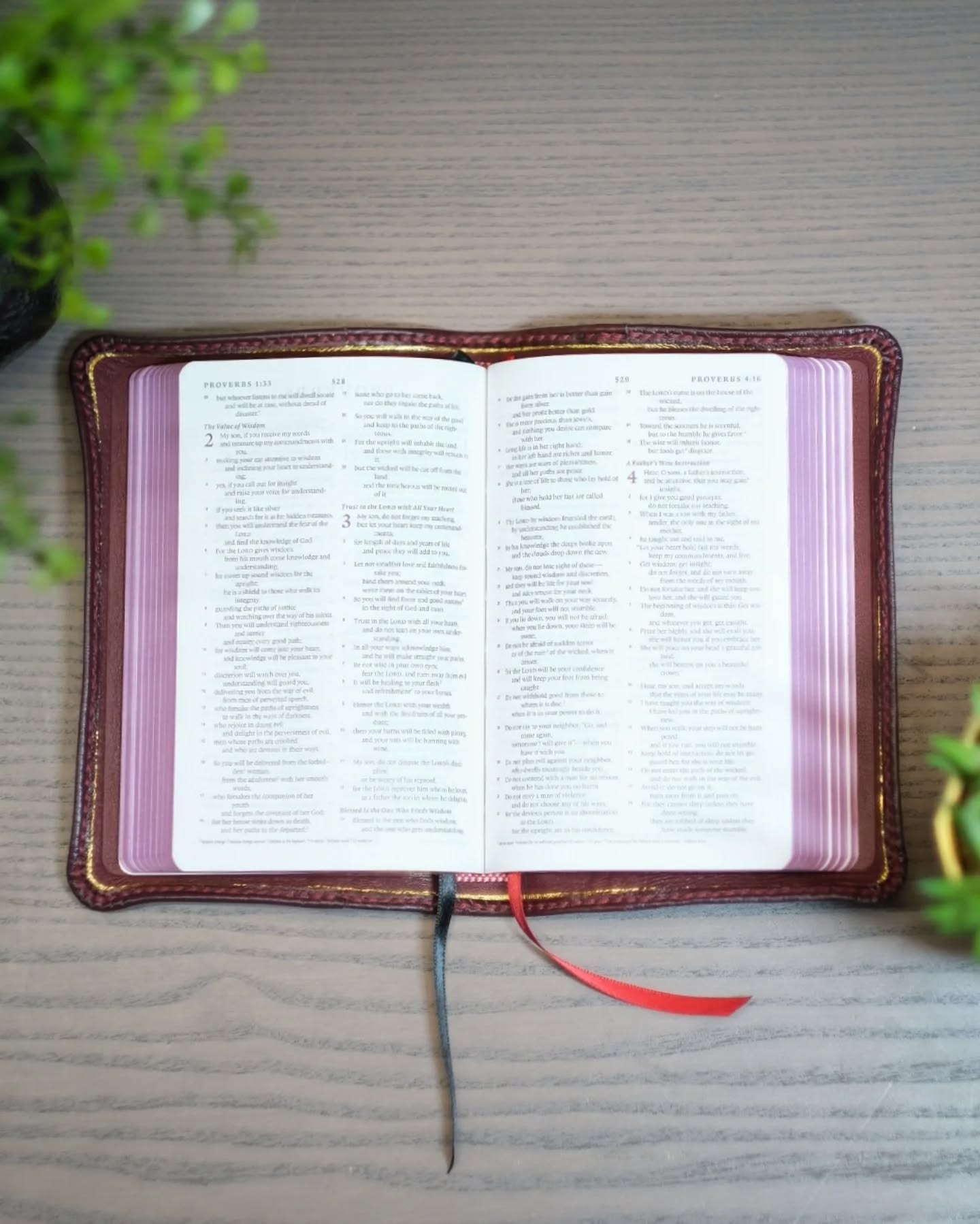 Oxblood Leather ESV thumbnail 2