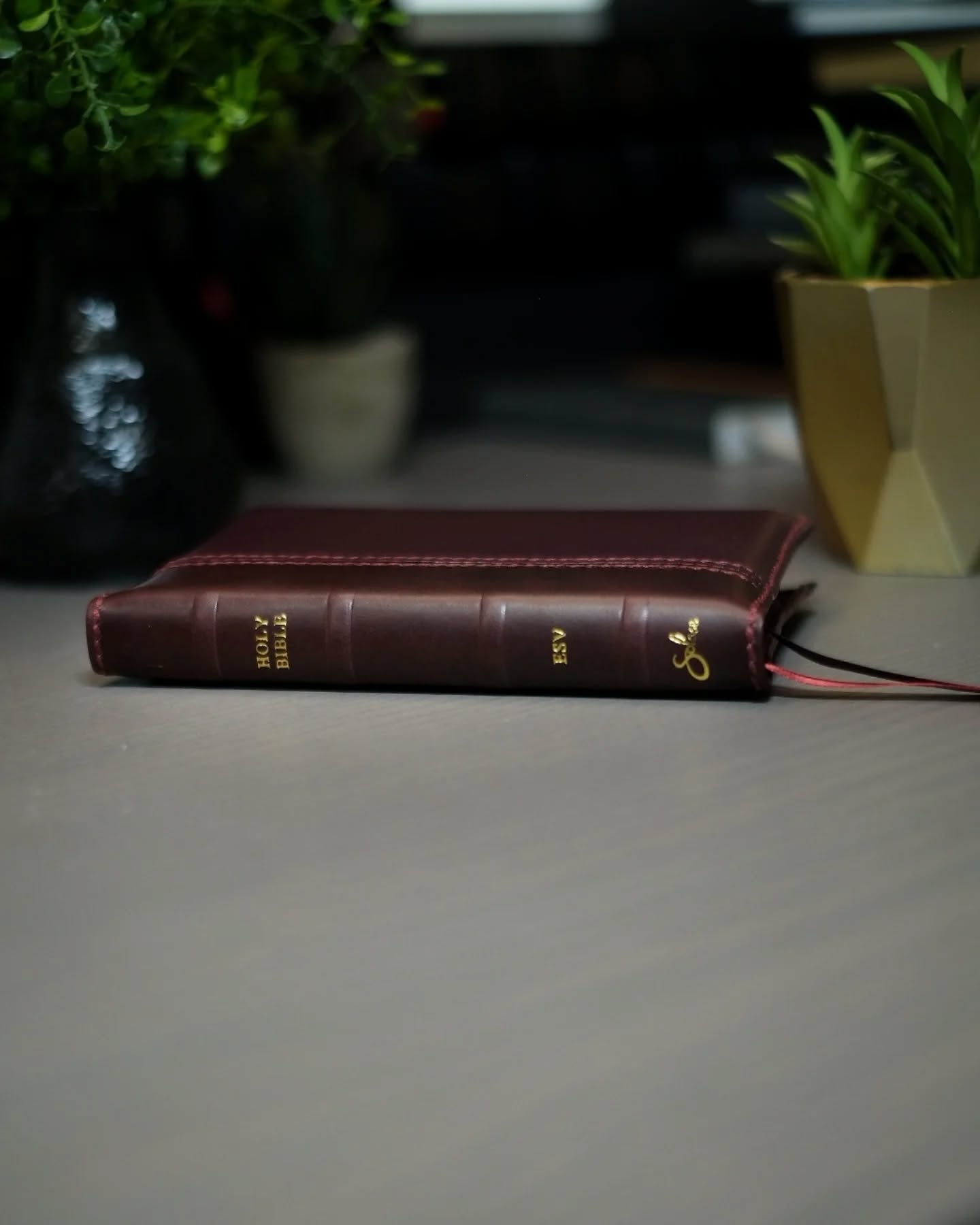 Oxblood Seidel Double Shot ESV thumbnail 4