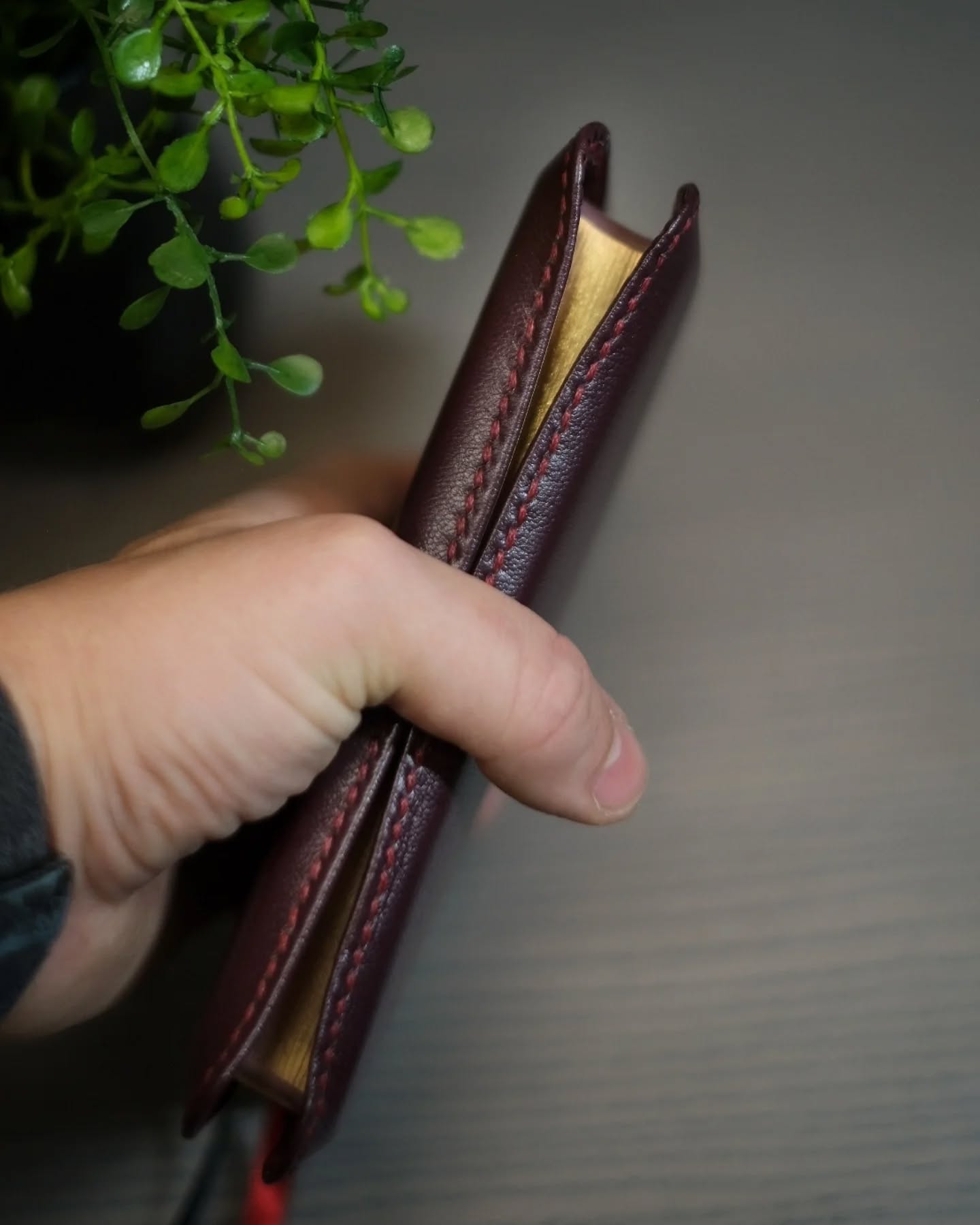 Oxblood Seidel Double Shot ESV thumbnail 6